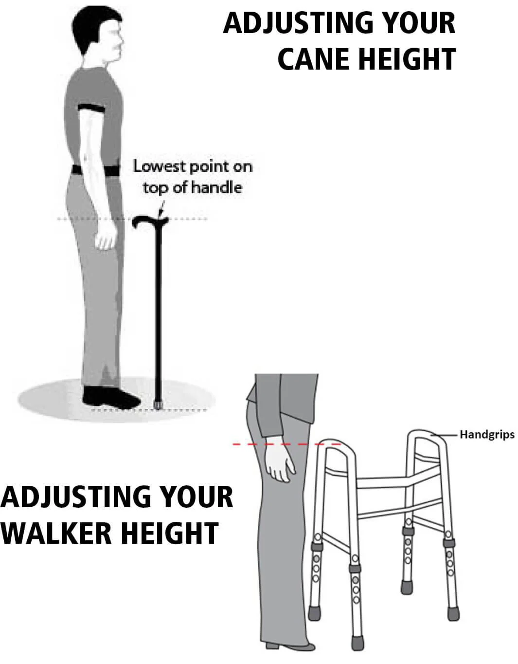 adjusting-cane-walker-height-opt.jpg