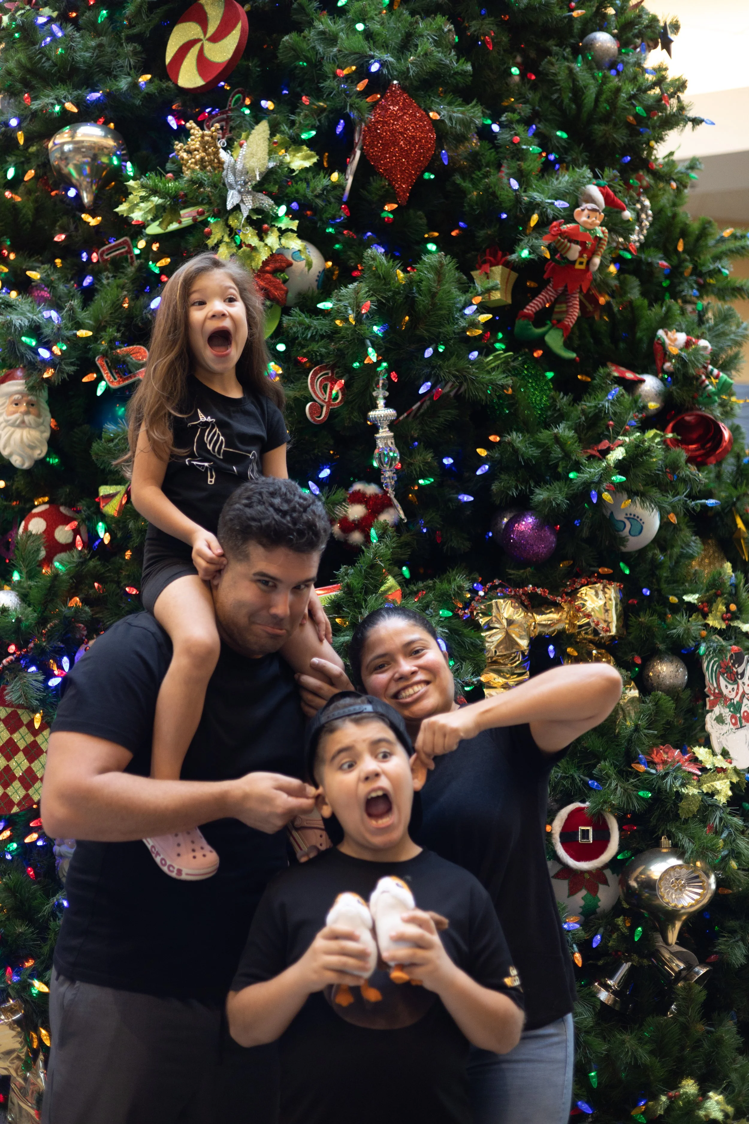 Holiday Family Portraits in Broward &amp; Miami-Dade: Best Locations, Best Times, and How to Prepare