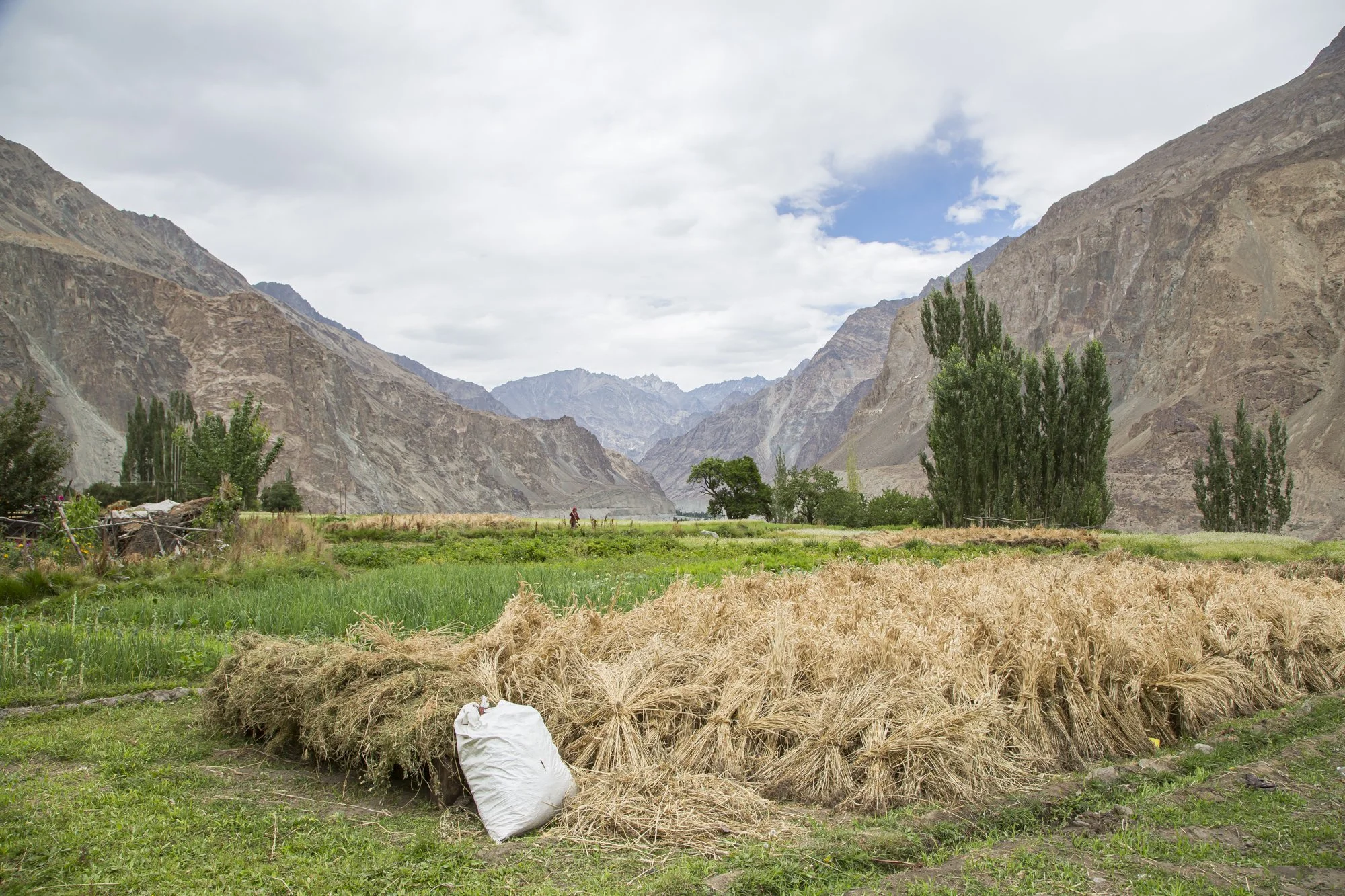 Ladakh (39).jpg
