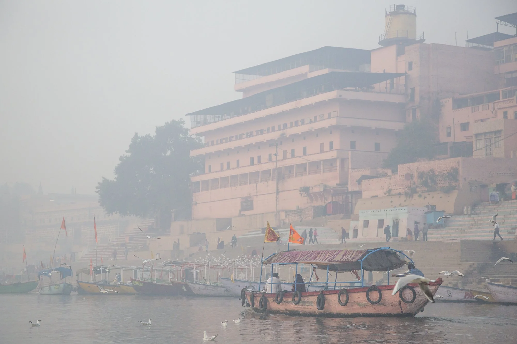 Varanasi 12th Feb -27.jpg
