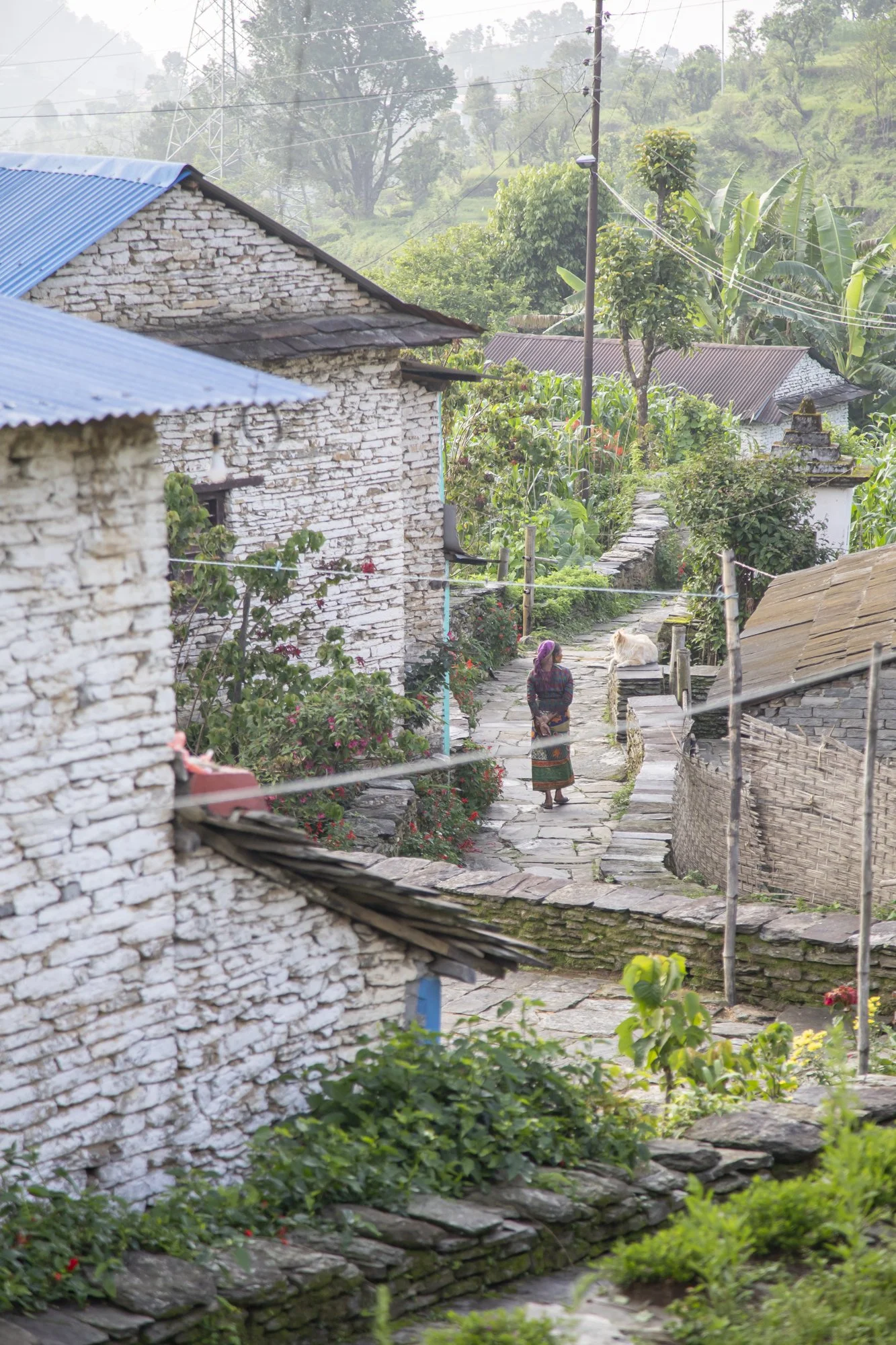 23rd May Nepal-47.jpg