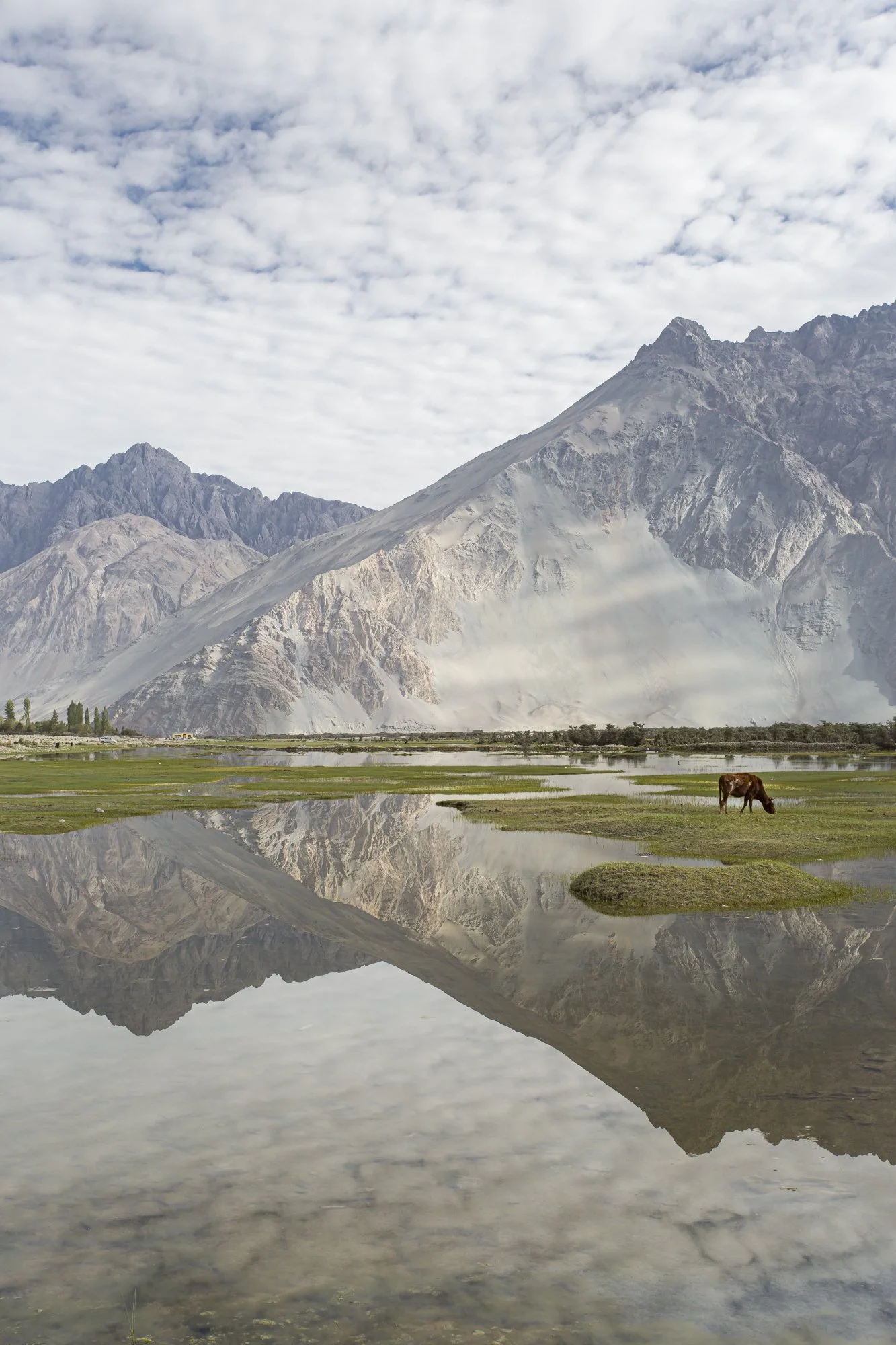 Ladakh (30).jpg