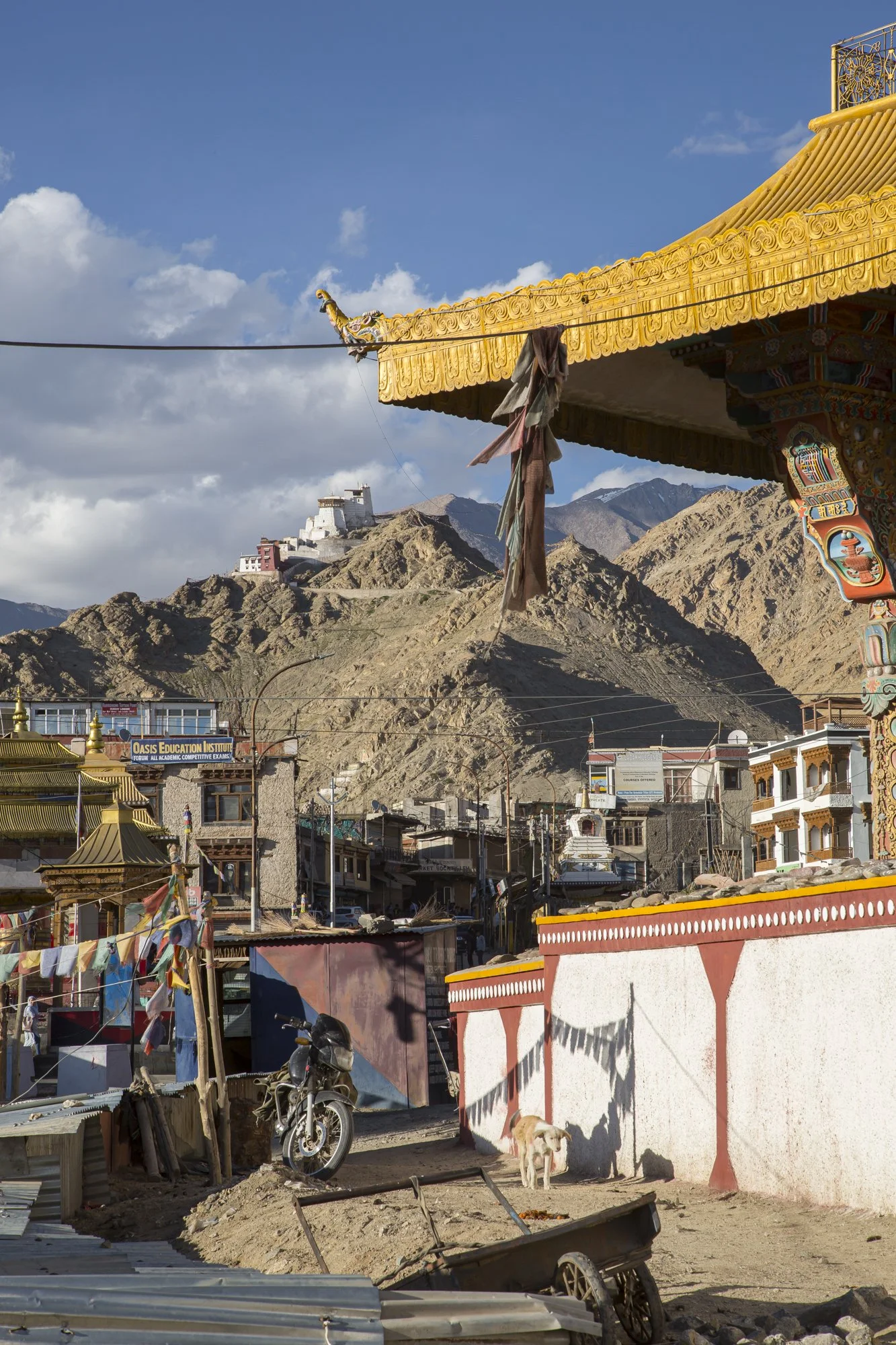Ladakh (57).jpg