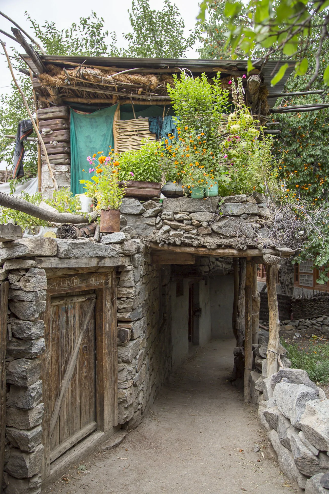 Ladakh (40).jpg