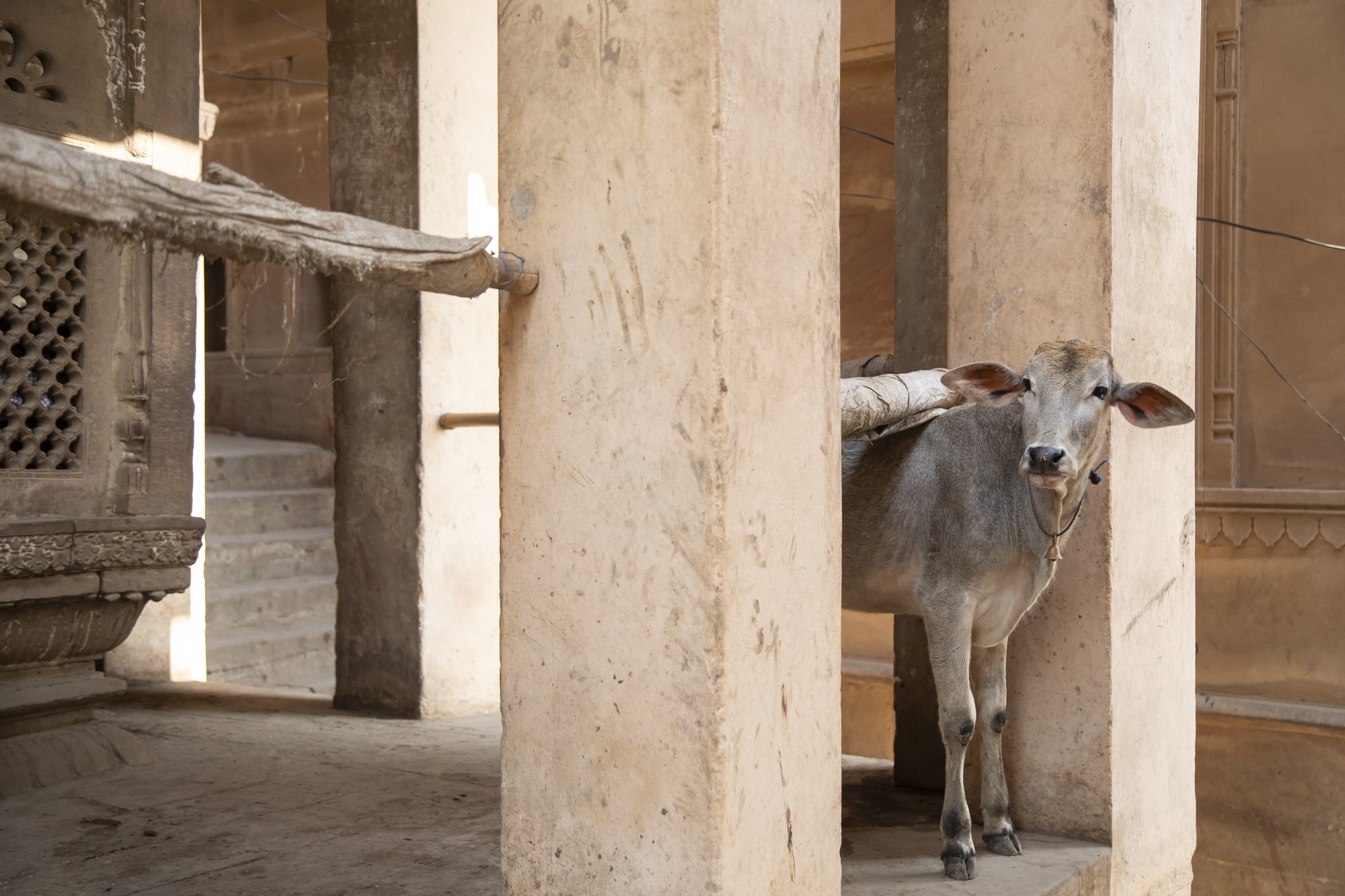 Varanasi (8).jpg