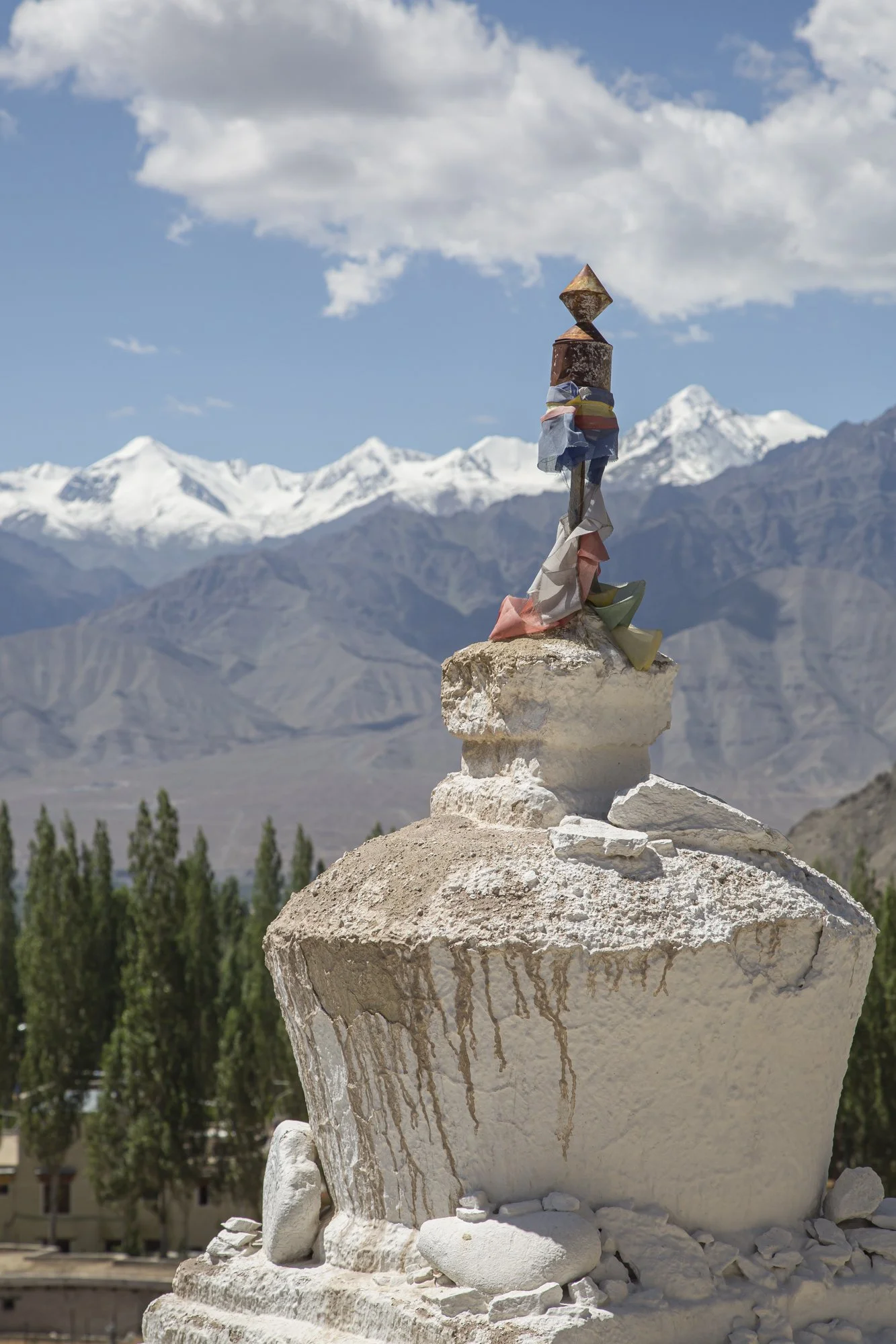 Ladakh (12).jpg