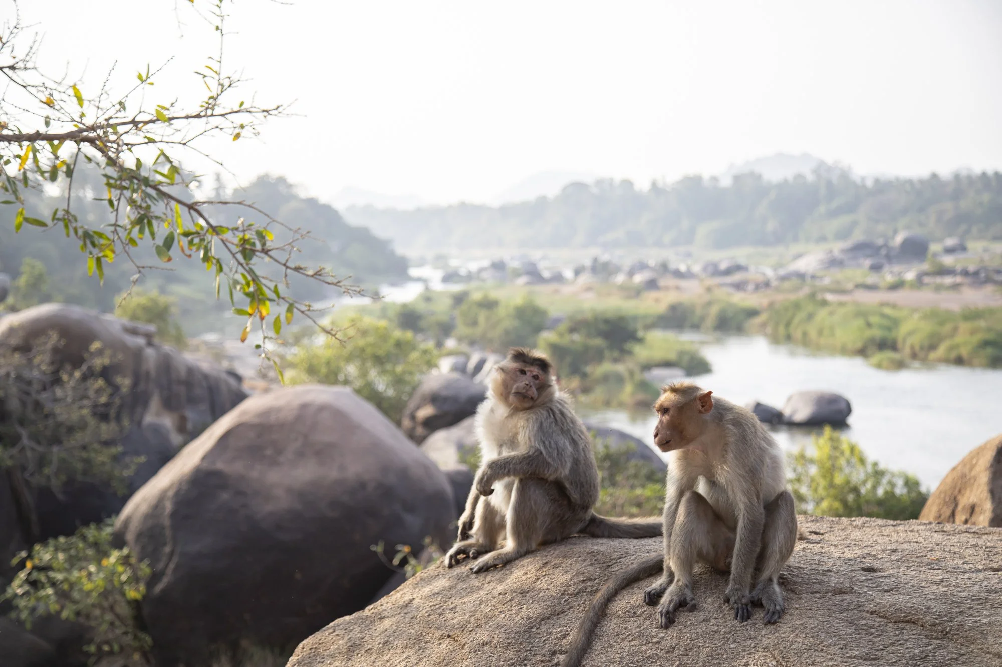Hampi (36).jpg