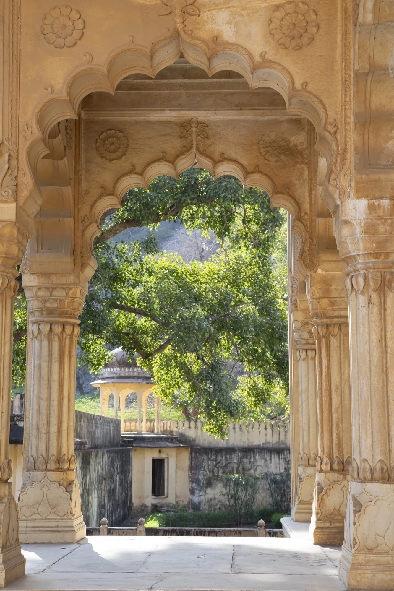Jaipur (8).jpg