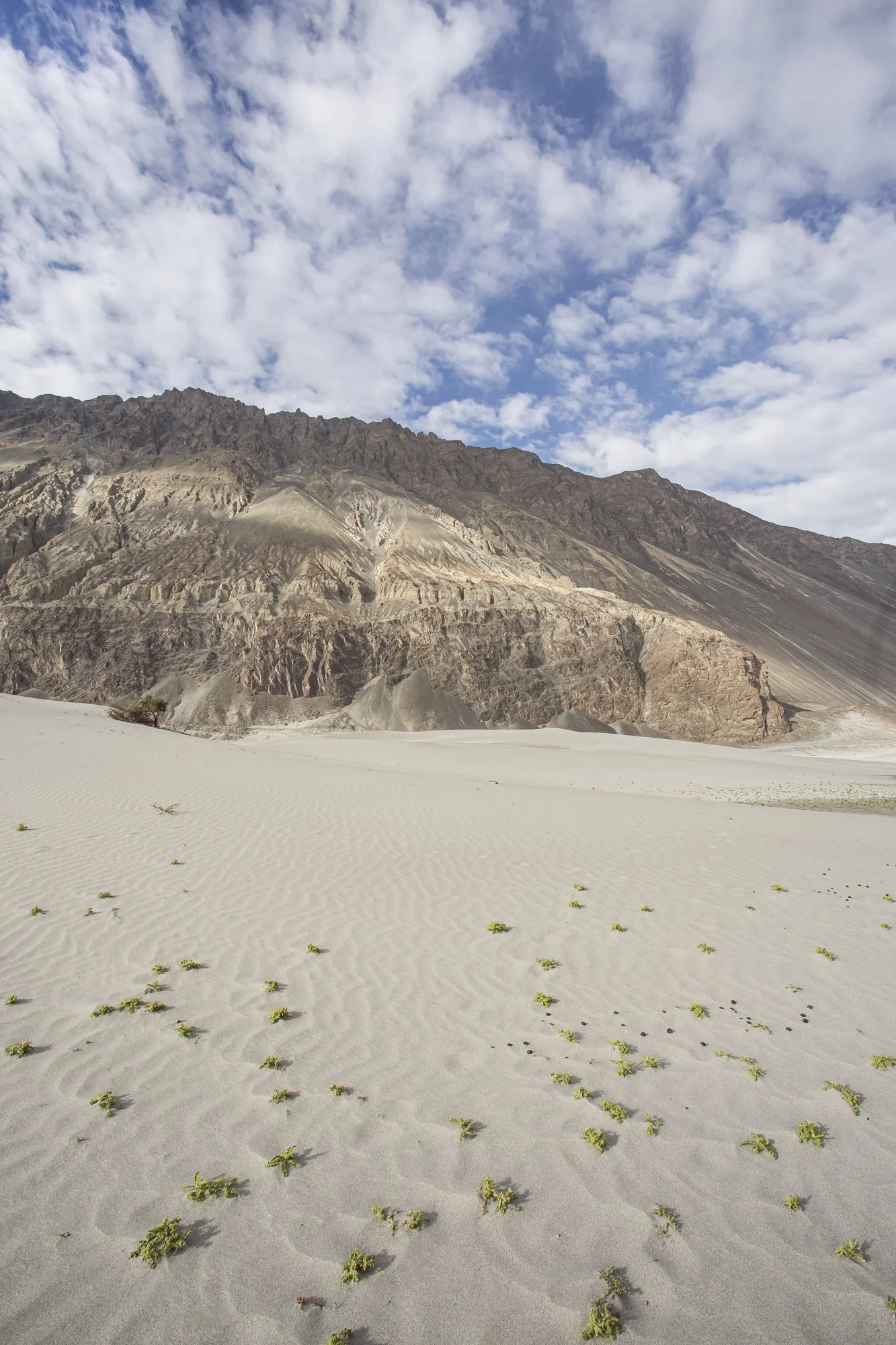 Ladakh (26).jpg