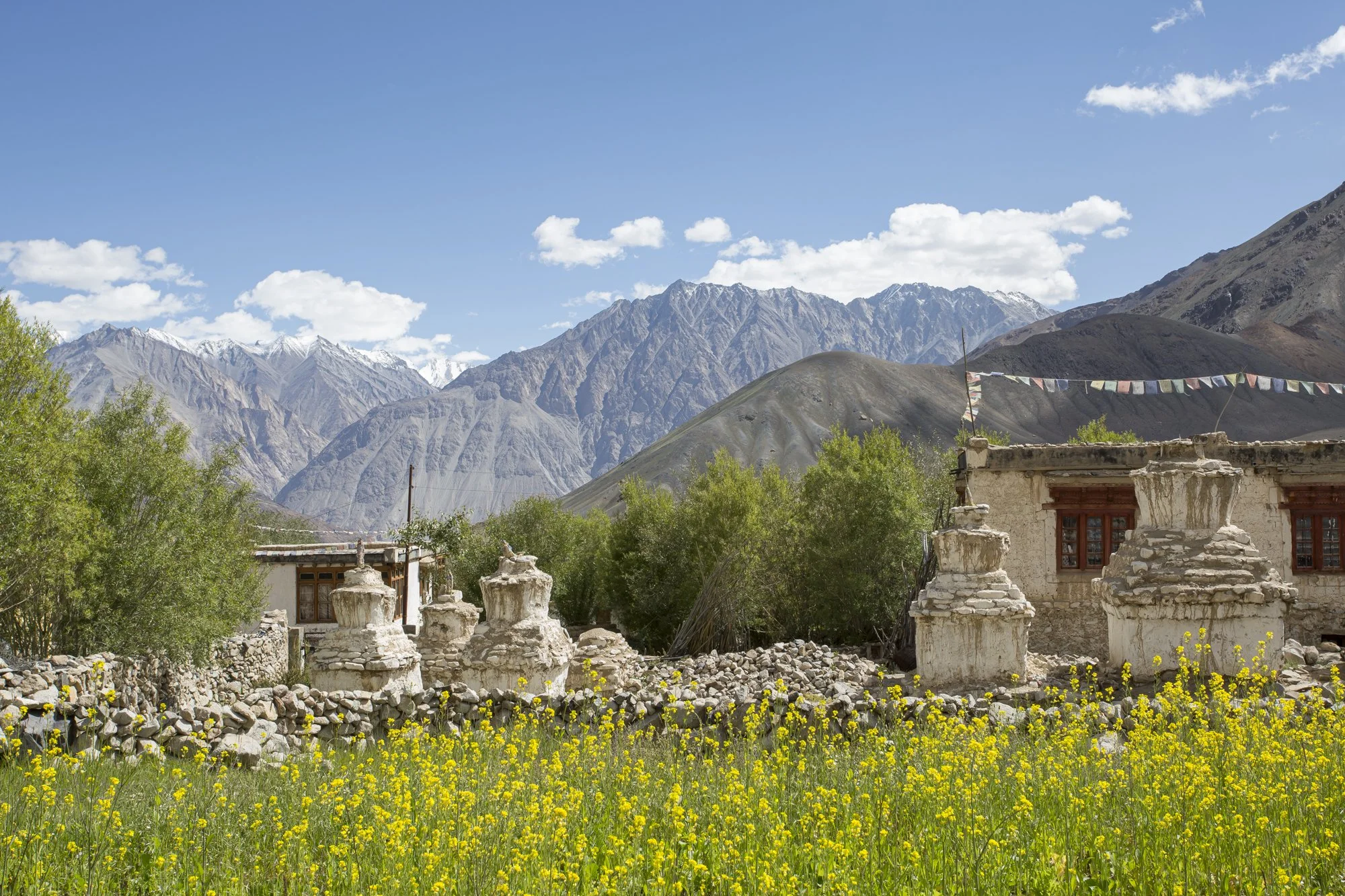 Ladakh (43).jpg