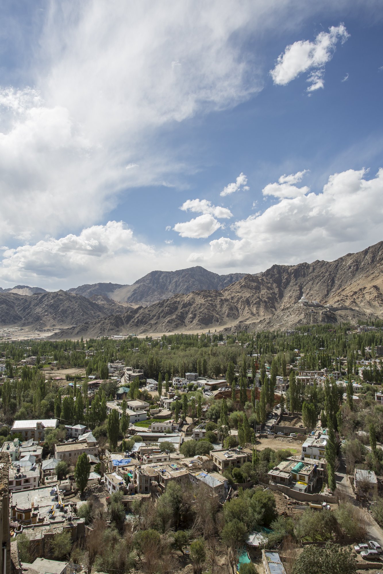 Ladakh (18).jpg