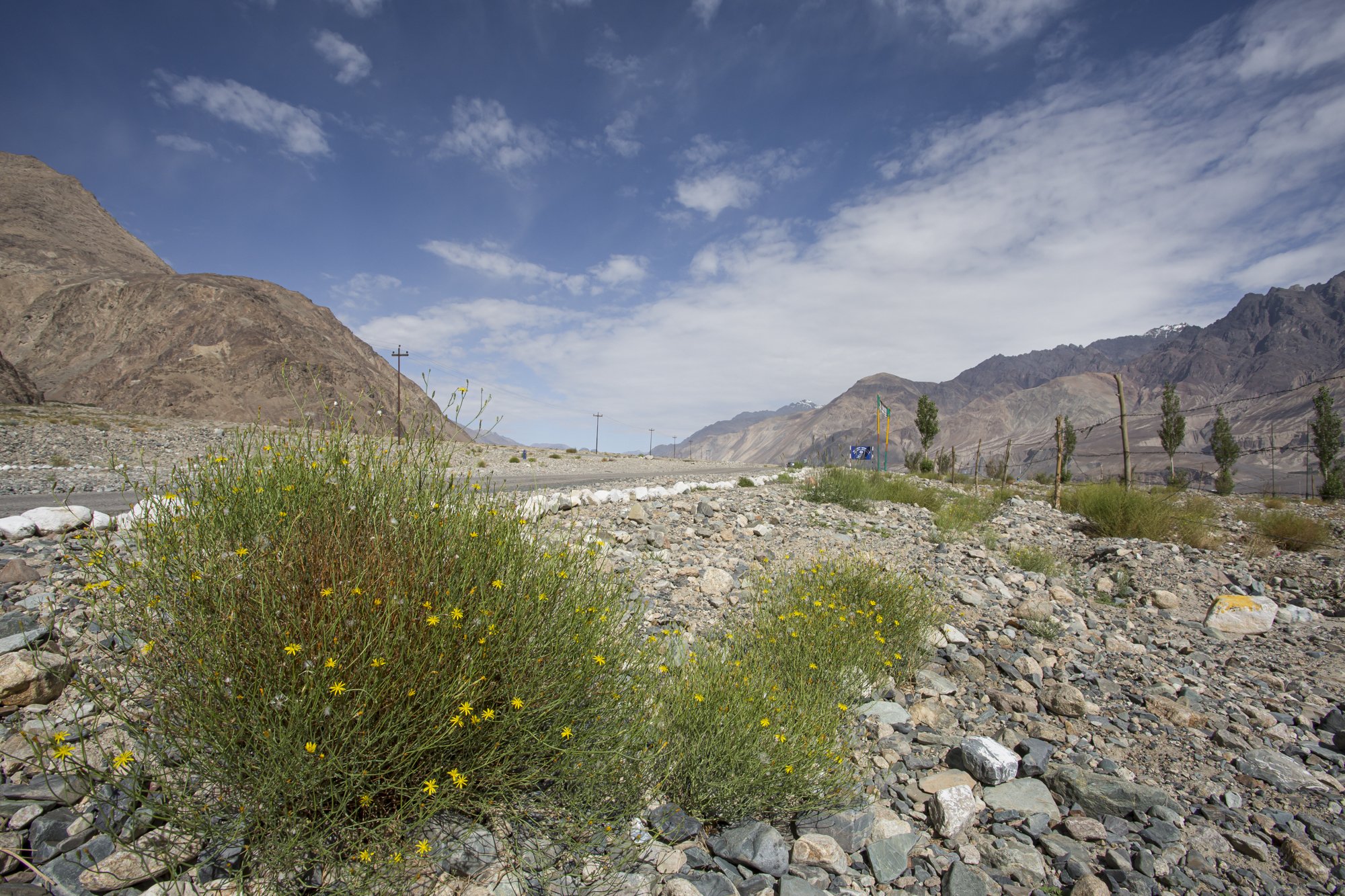 Ladakh (32).jpg