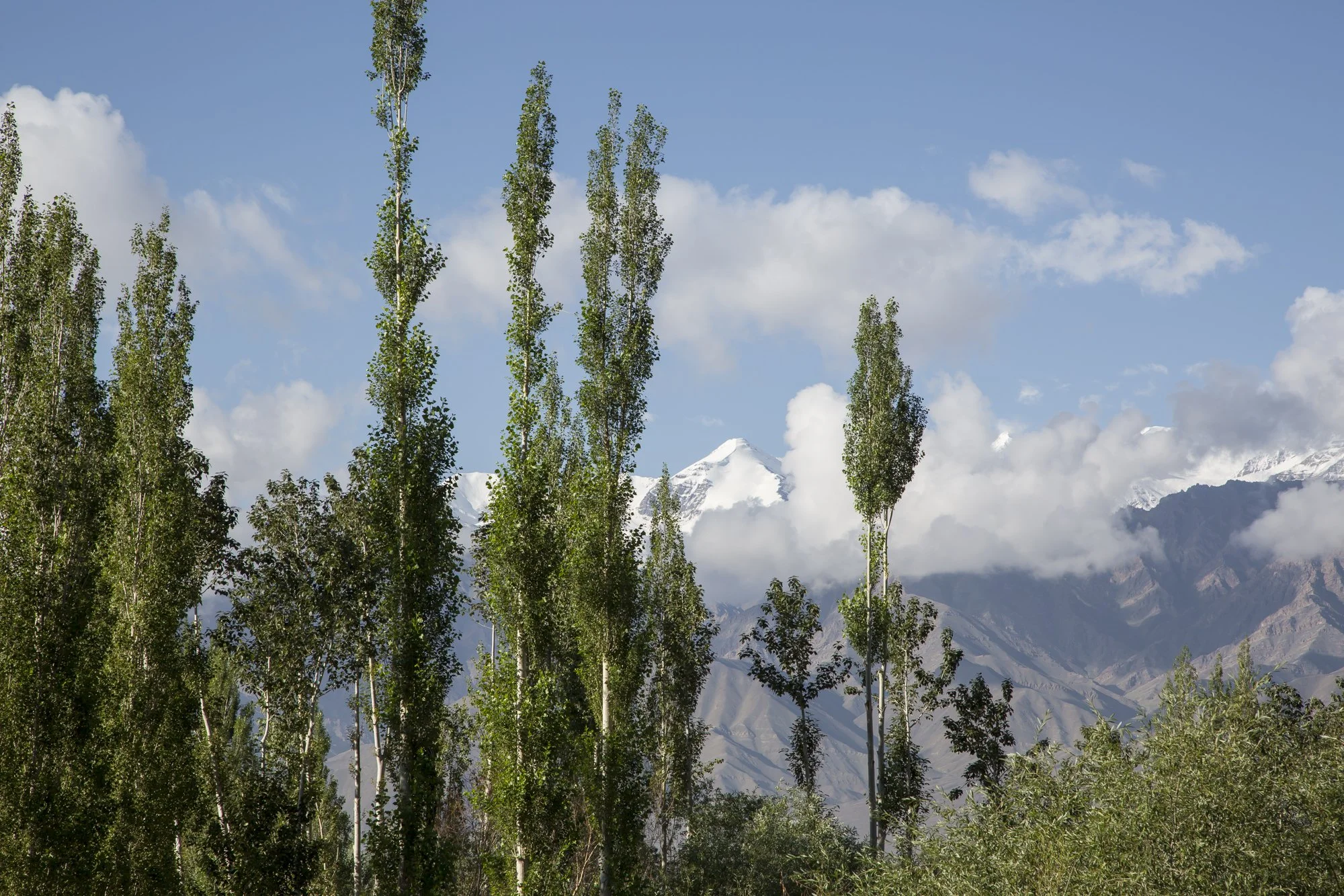 Ladakh (1).jpg