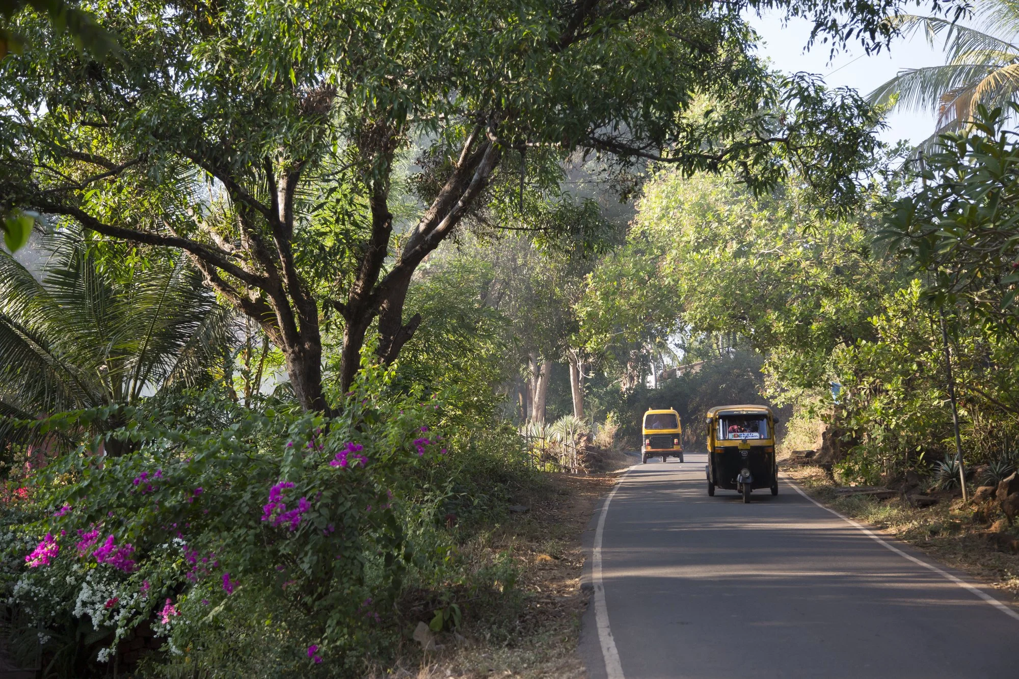 Appointments 3 — beth wild