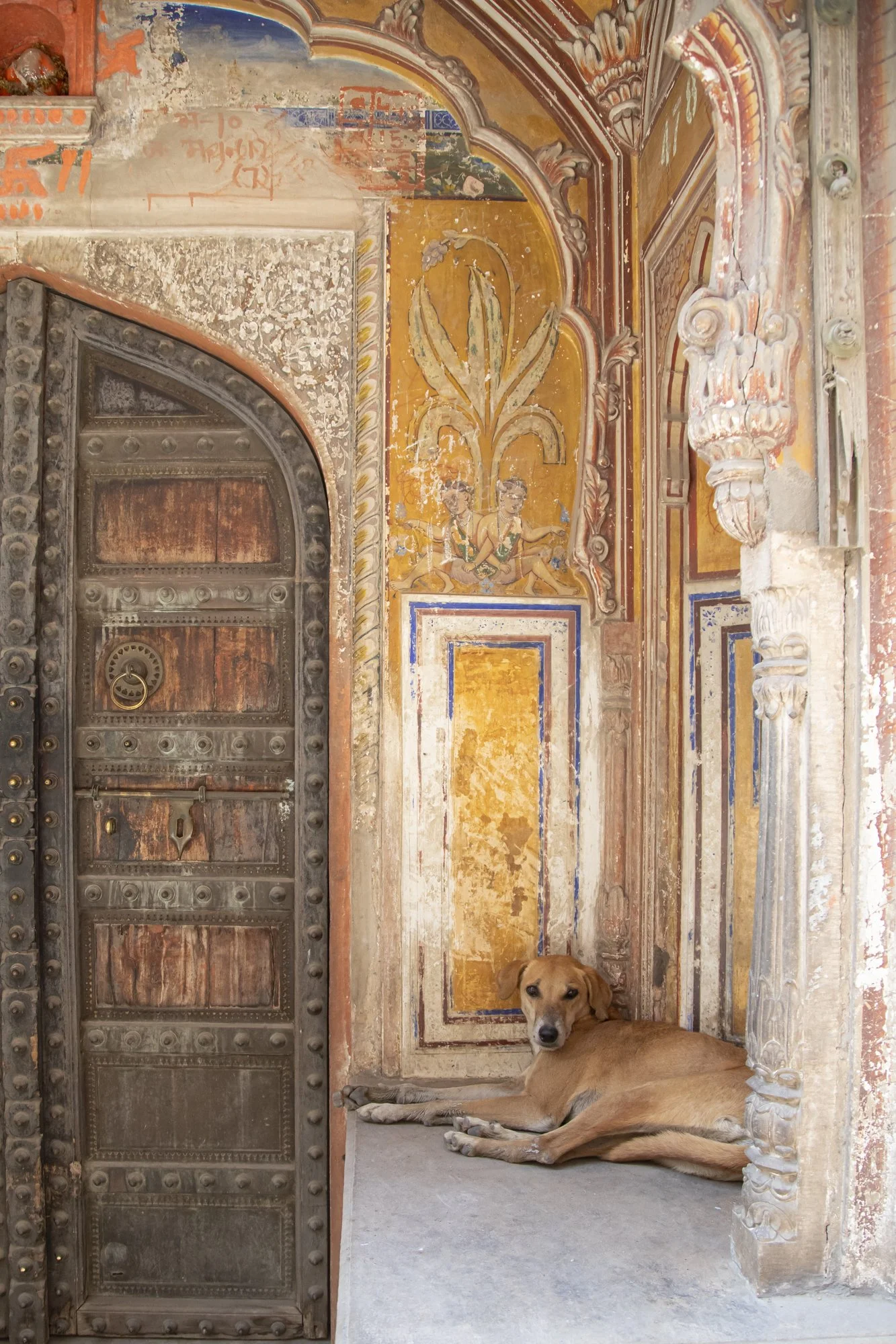 Jaipur (3).jpg