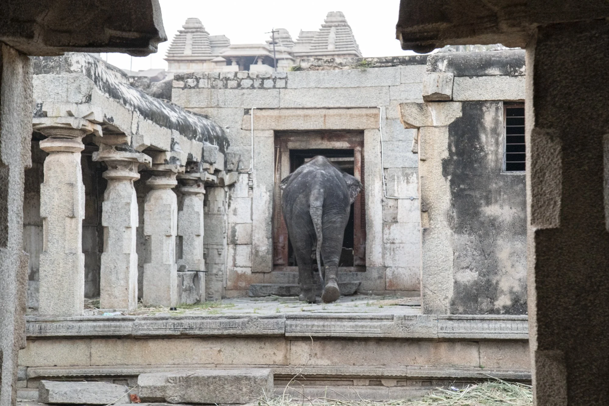 Hampi (20).jpg