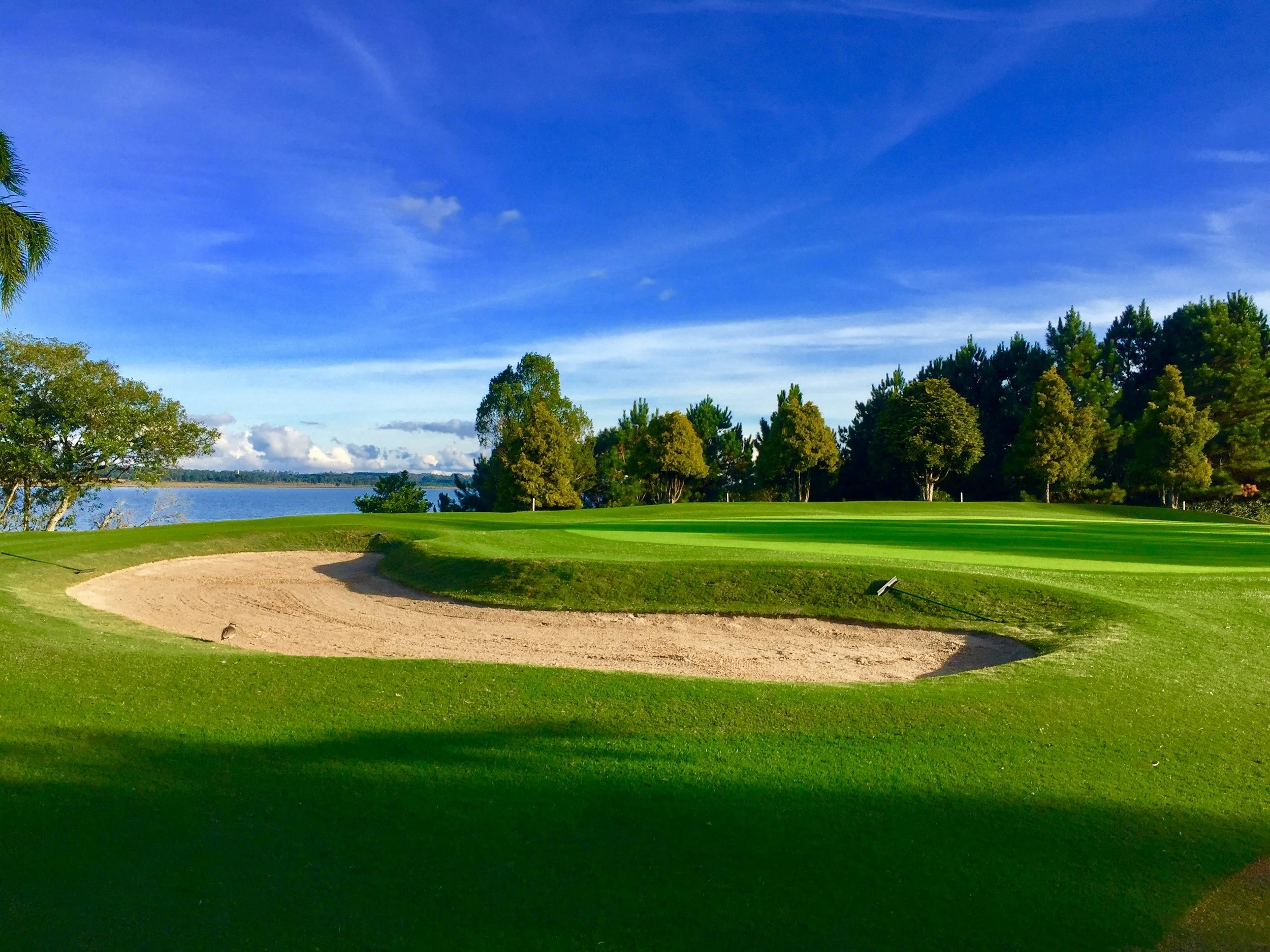 Visual core samples showcasing advanced turf root depth, thatch decomposition, and rapid turf recovery on professional golf course fairways.