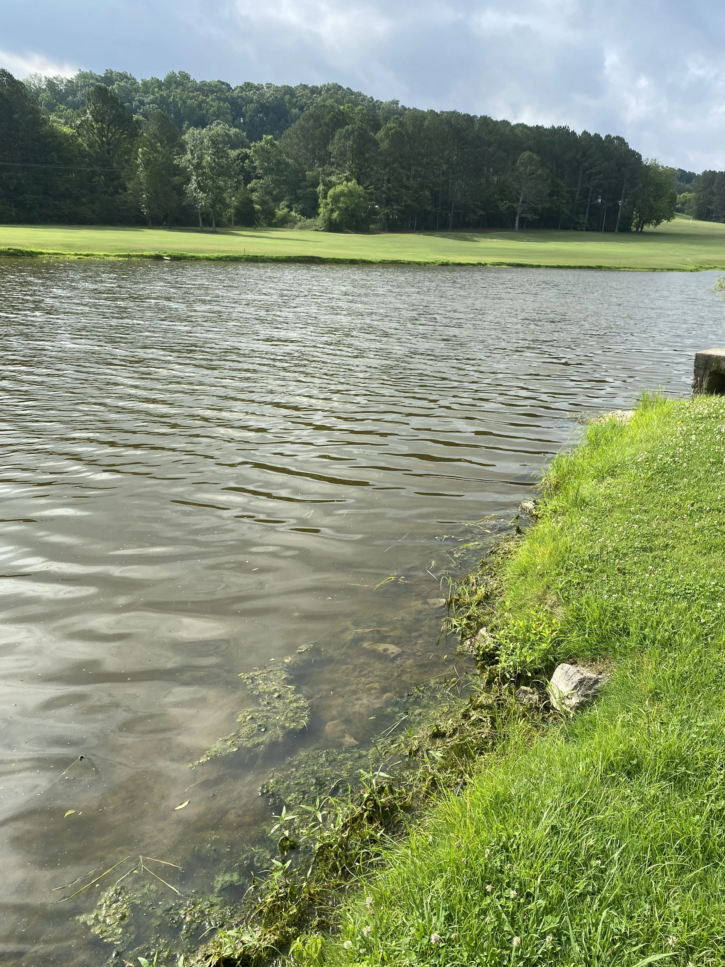 After image highlighting clear water, massive organic sludge layer reduction, and balanced aquatic health using HydroPRO water treatment.