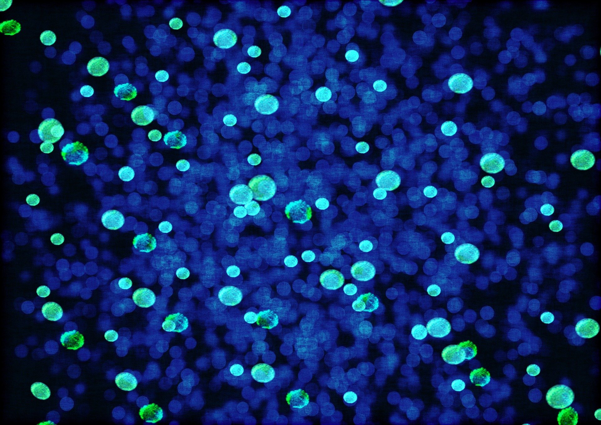 Wide microscopic overview highlighting the extreme multi-strain diversity of EcoTech Biologicals commercial microbial inoculants for large-scale agribusiness and soil health.