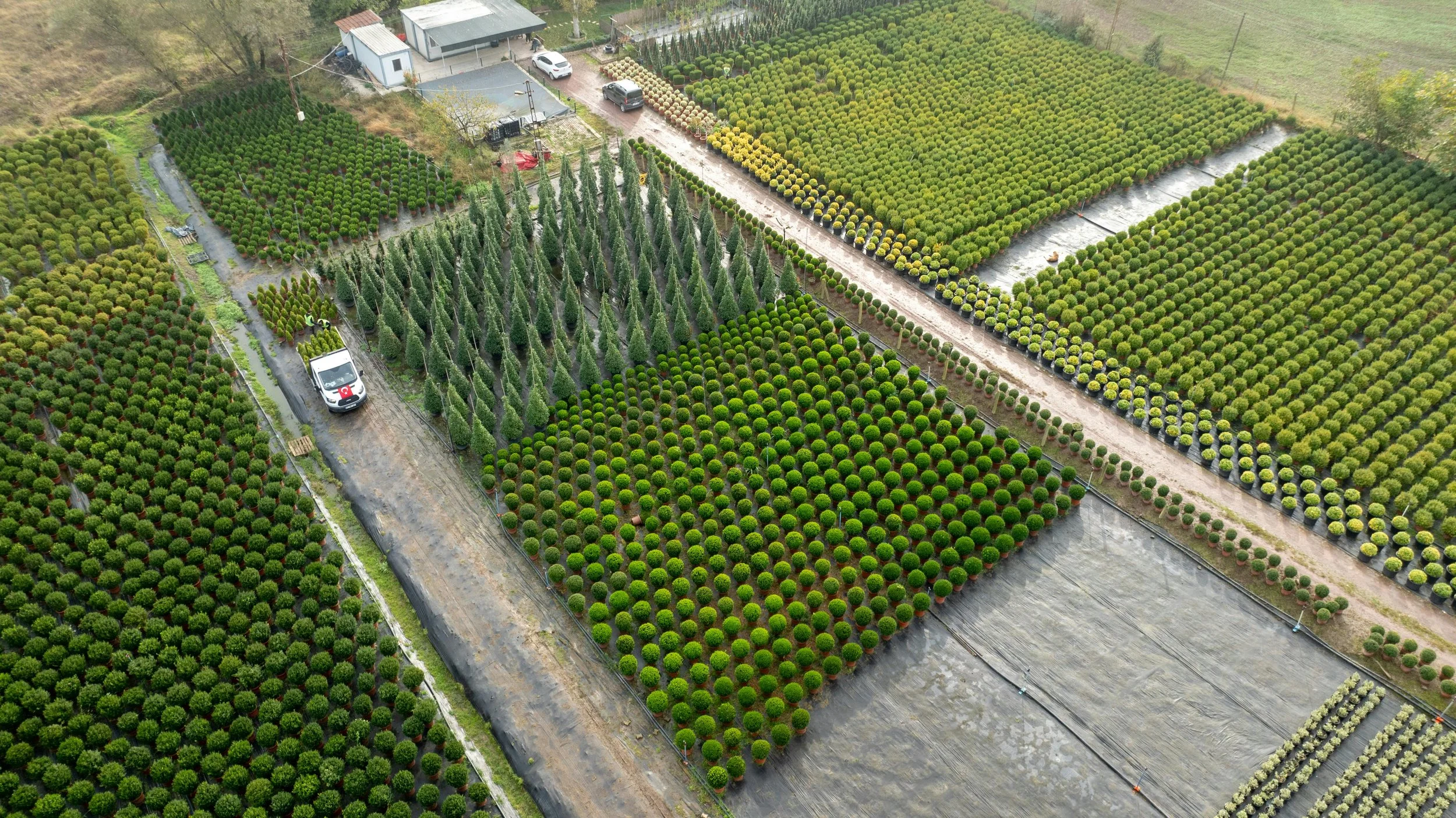 Aerial view of geometric wholesale plant nursery rows, representing custom biological blending and nutrient delivery systems for commercial landscape suppliers.