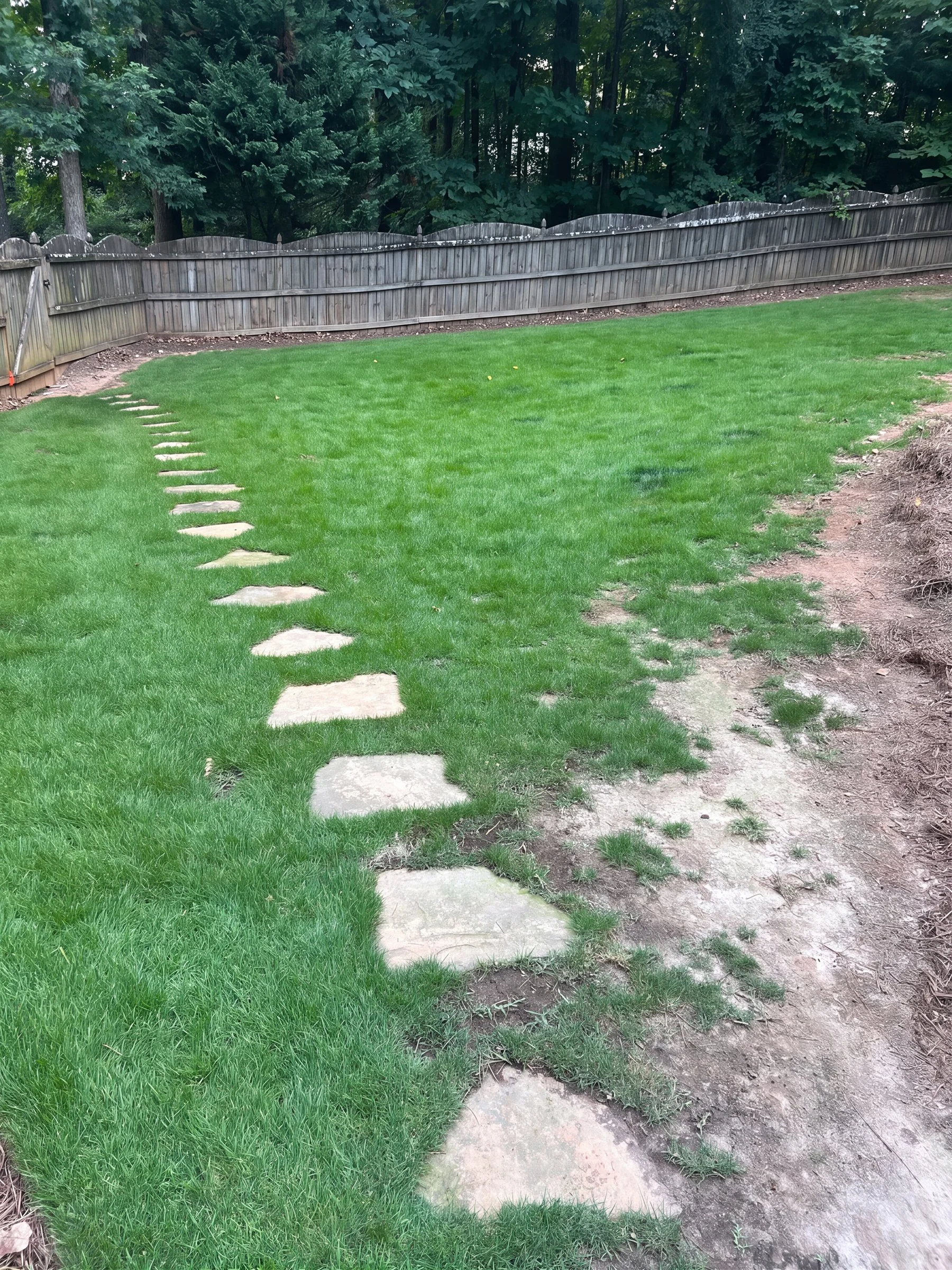 After image demonstrating vibrant foliage growth, balanced soil biology, and accelerated plant vigor following EcoTech bio-stimulant inputs.