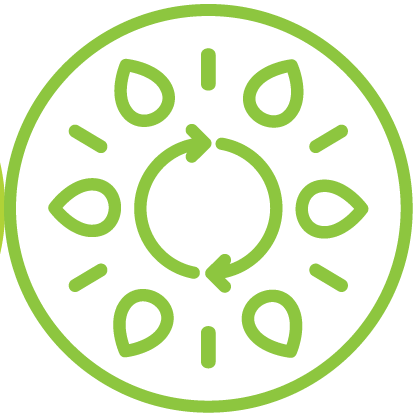 •  • Icon showing improved transcellular plant cell wall penetration and targeted nutrient uptake via endocytosis for wholesale nurseries.
