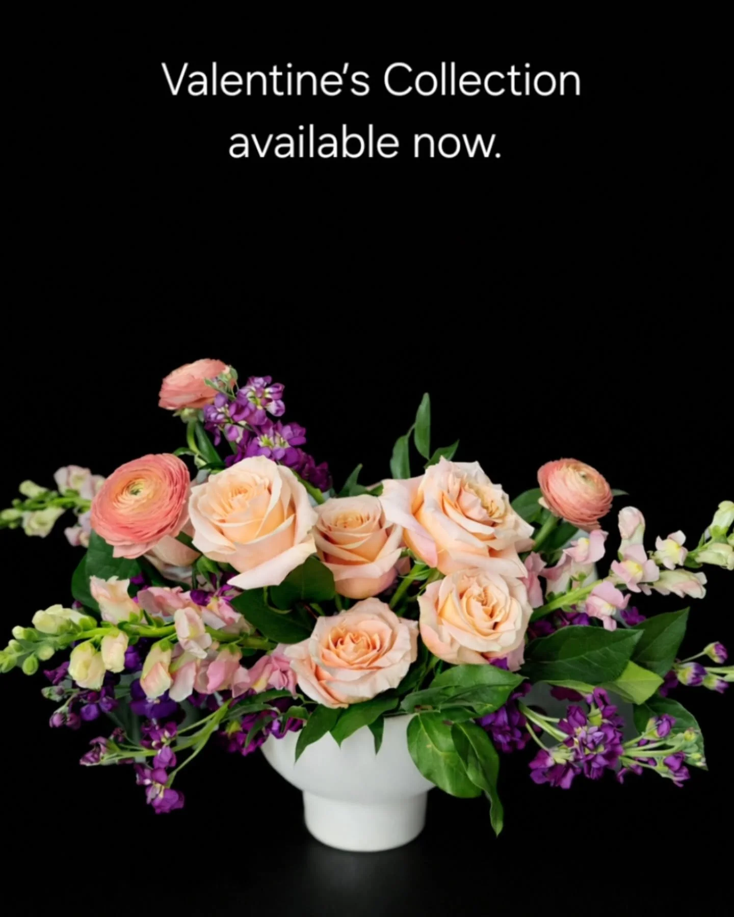 Valentine&rsquo;s, done intentionally 

My Valentine&rsquo;s Collection is now available for preorder and features three modern arrangements.

I&rsquo;ve partnered with a few favorite local businesses around town for convenient pickup on 2/13 and 2/1