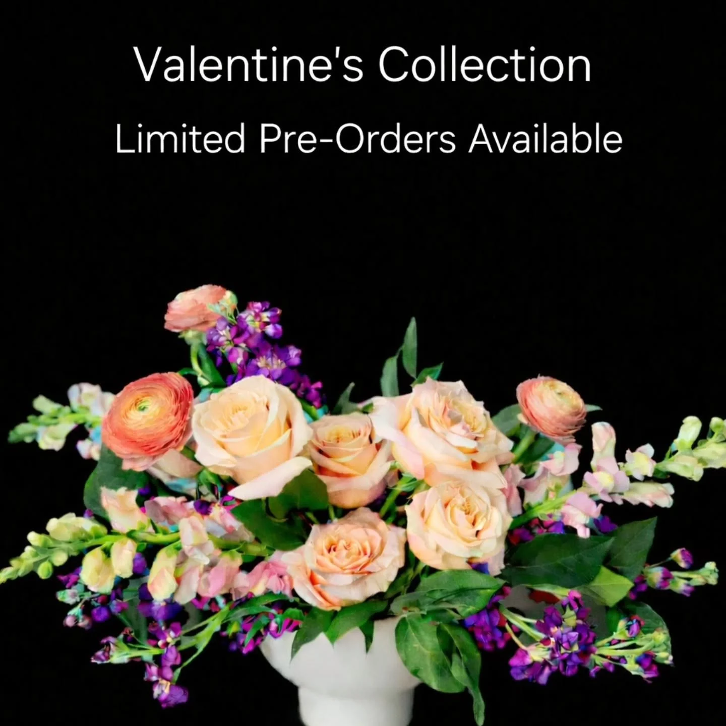 Valentine&rsquo;s is one week away 💜

My Valentine&rsquo;s Collection is now available for preorder and features three modern arrangements, designed with intentional color and a romantic edge.

I&rsquo;ve partnered with several favorite local busine