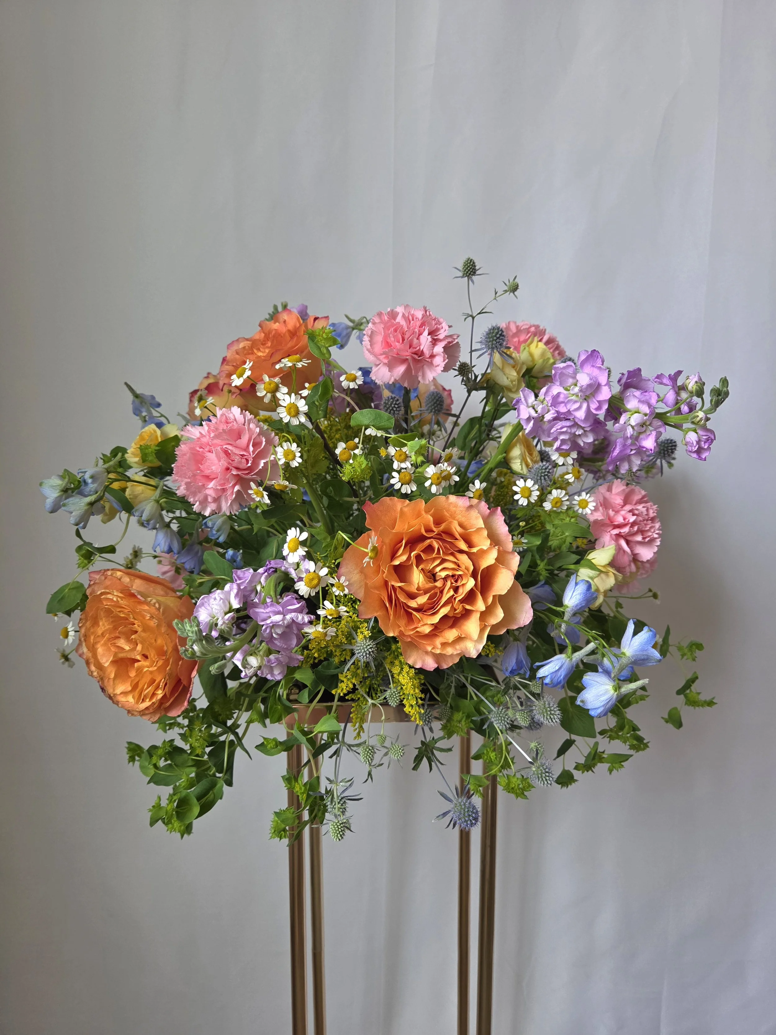 20260715_164531.jpg
