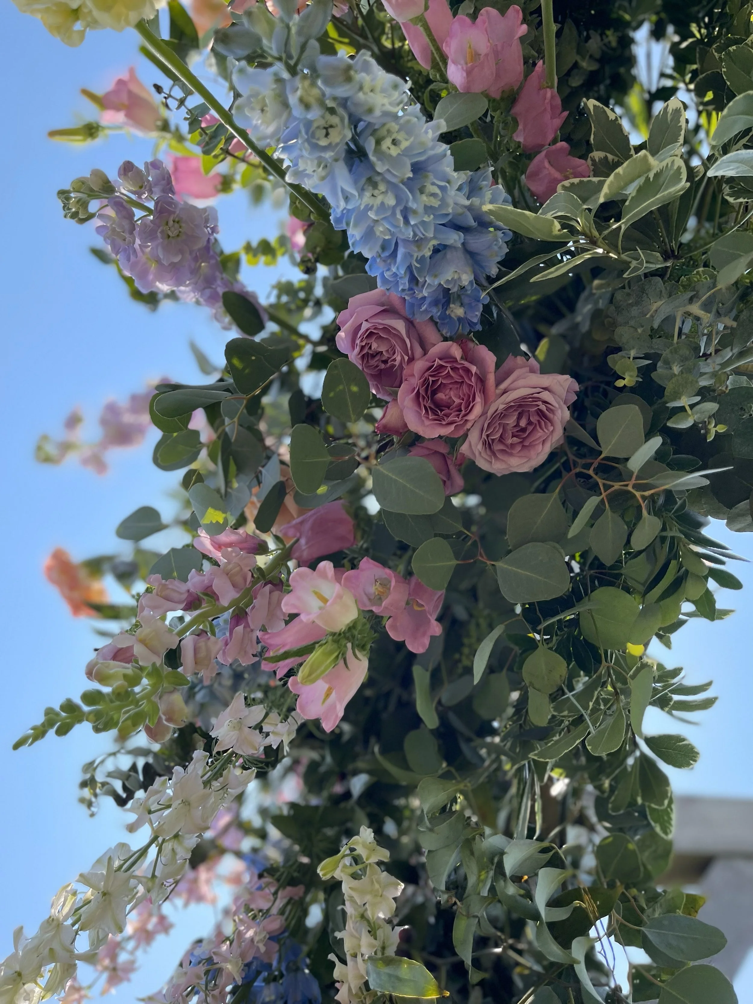 Close-up of various pink, blue, and white flowers blooming among green foliage against a clear blue sky.