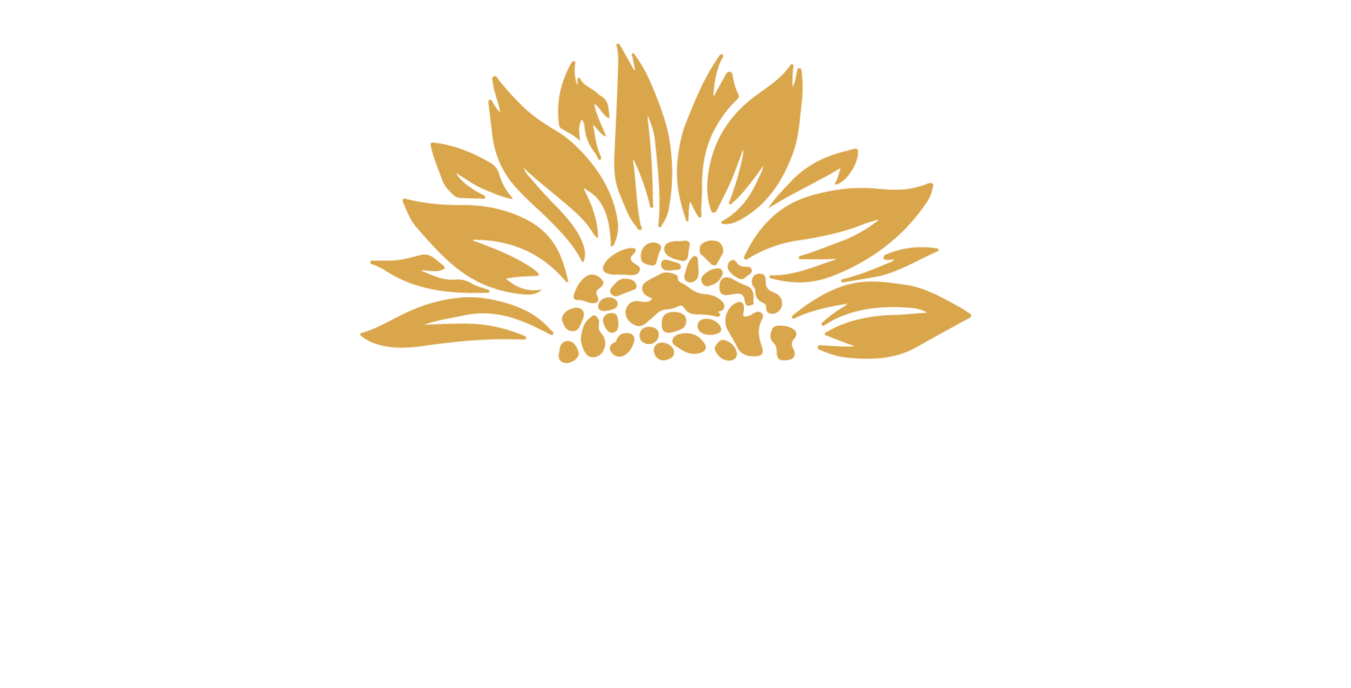 Vitality Clinic: Menopause &amp; Wellness