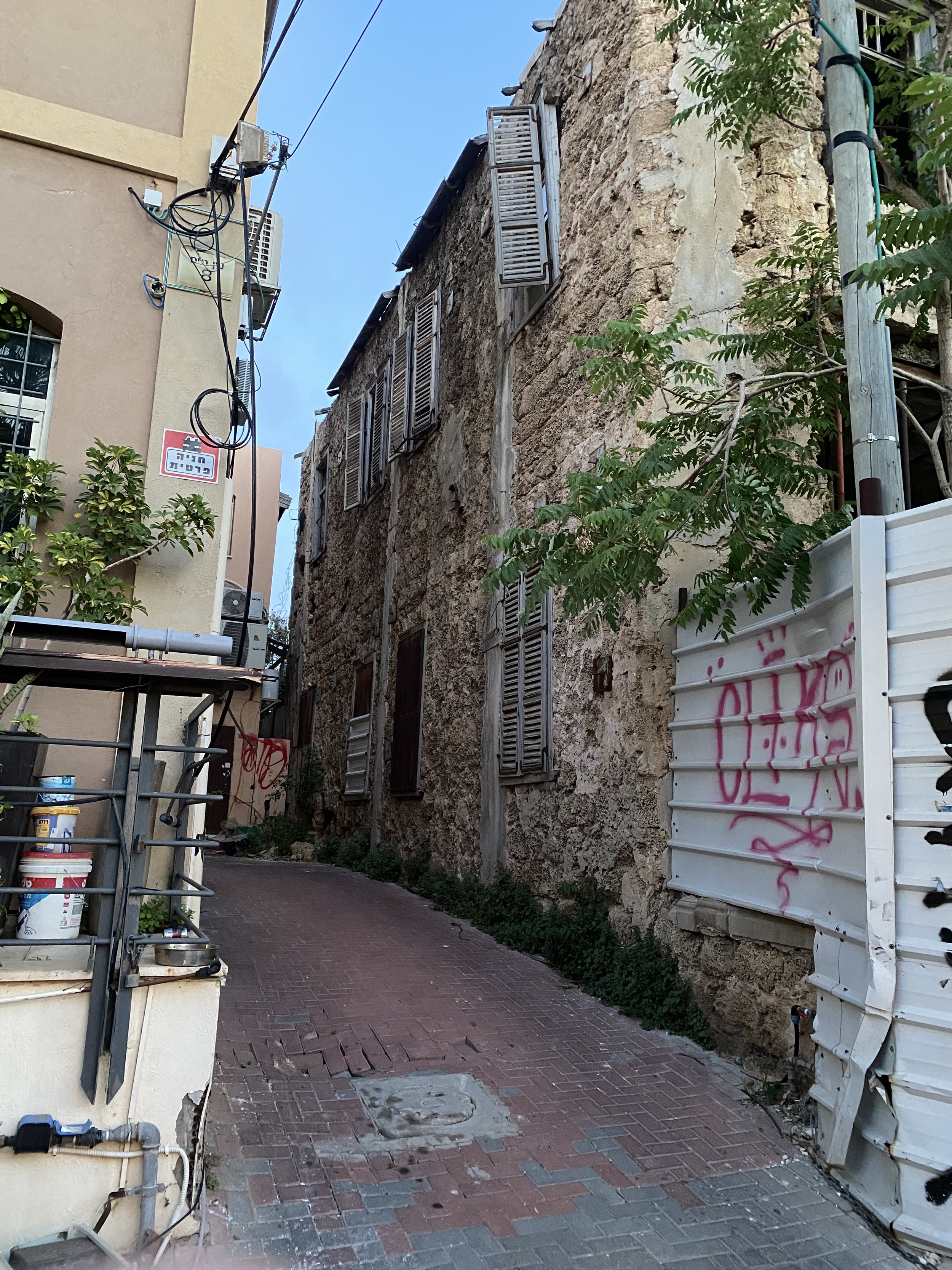 IMG_5180.jpeg