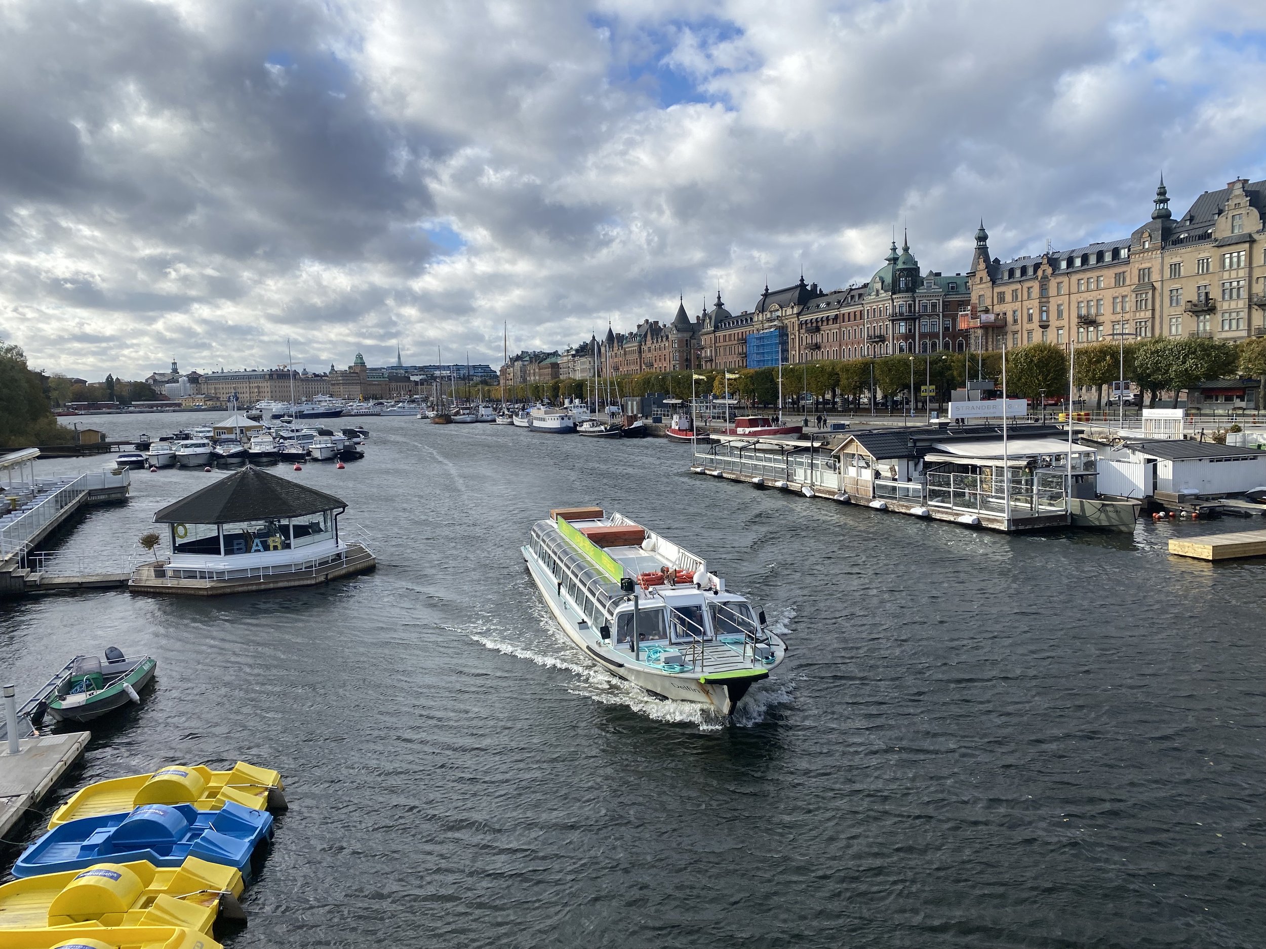 IMG_3607.jpeg