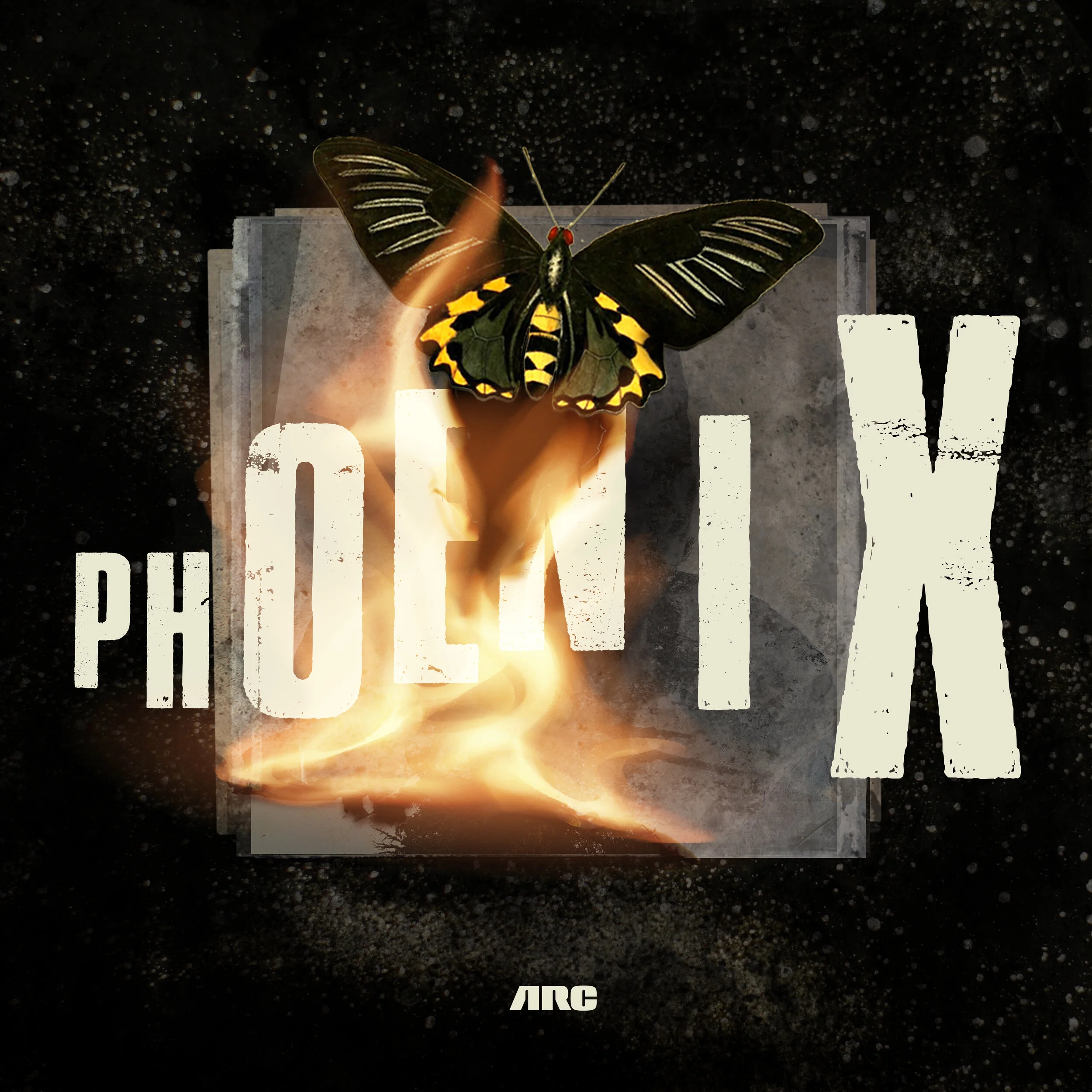 Adam RC - Phoenix