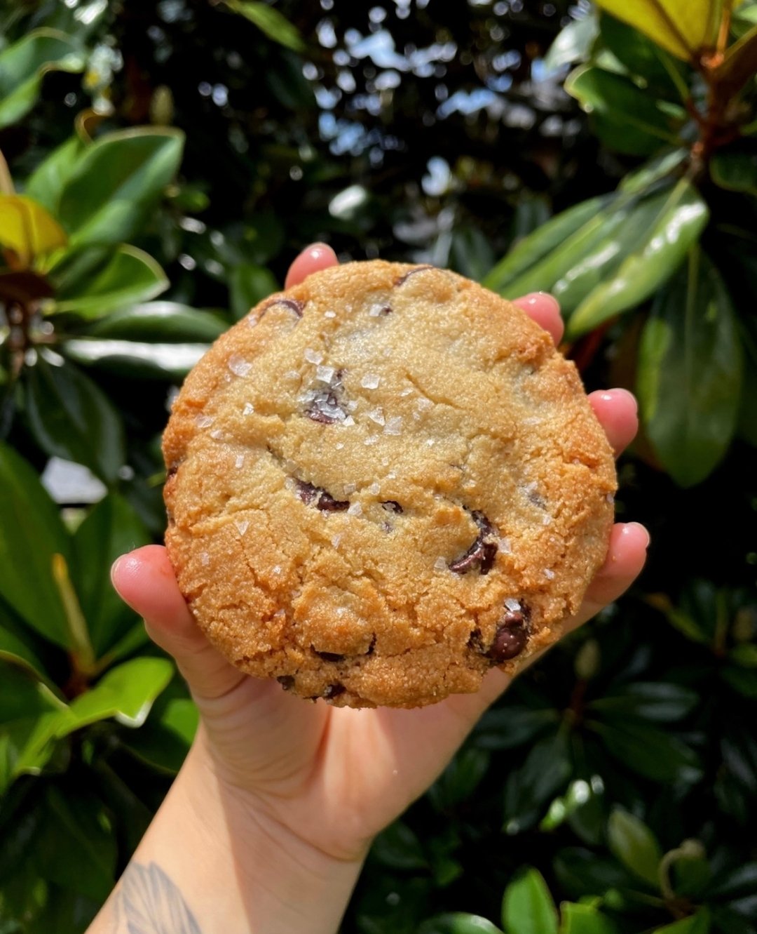 &quot;When life gives you lemons, toss them aside and eat cookies instead!&quot;