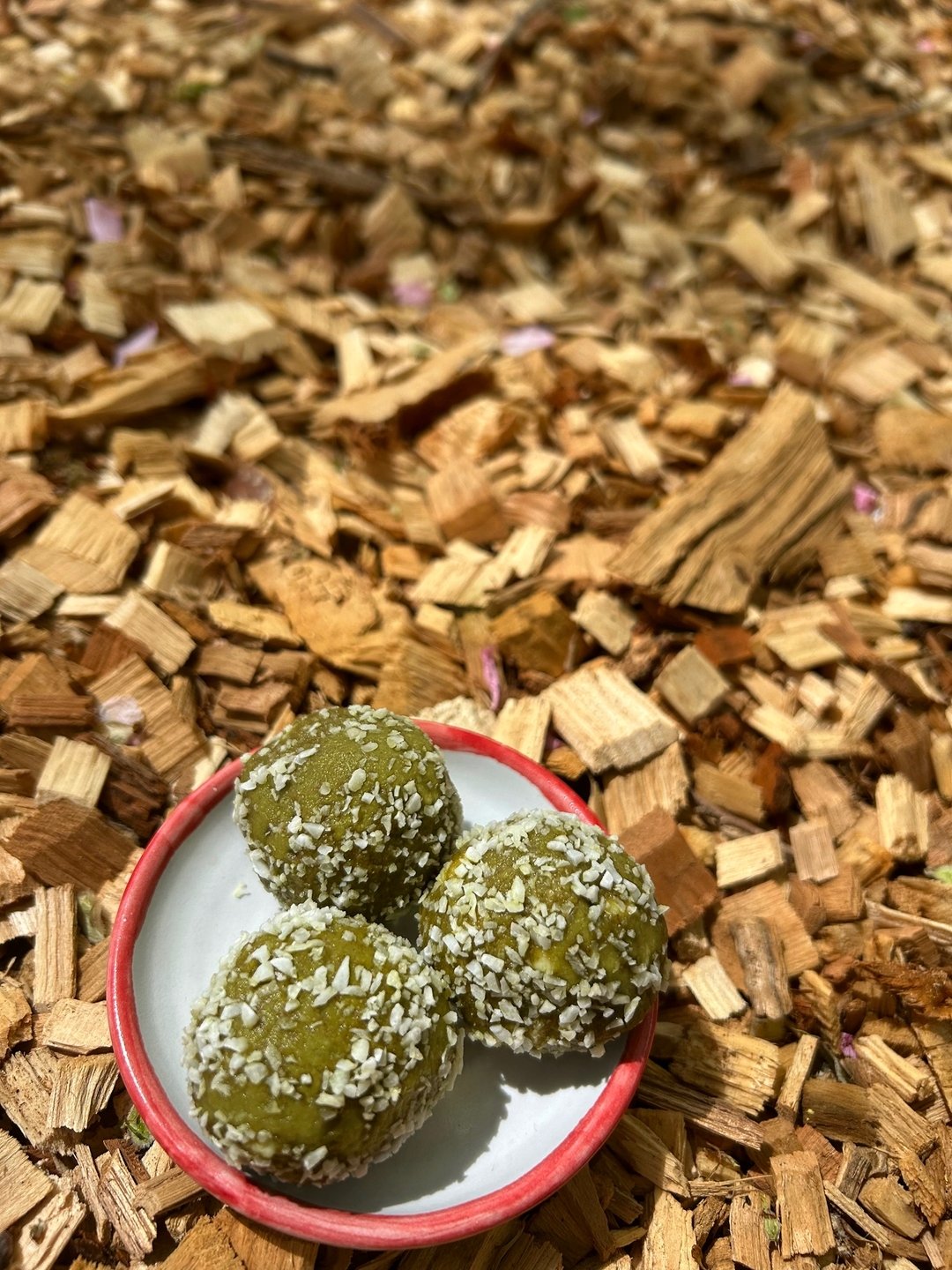 Matcha bites w/ white chocolate, almonds, and covered in coconut flakes🍵

The prefect sweet treat for the spring season.🤤