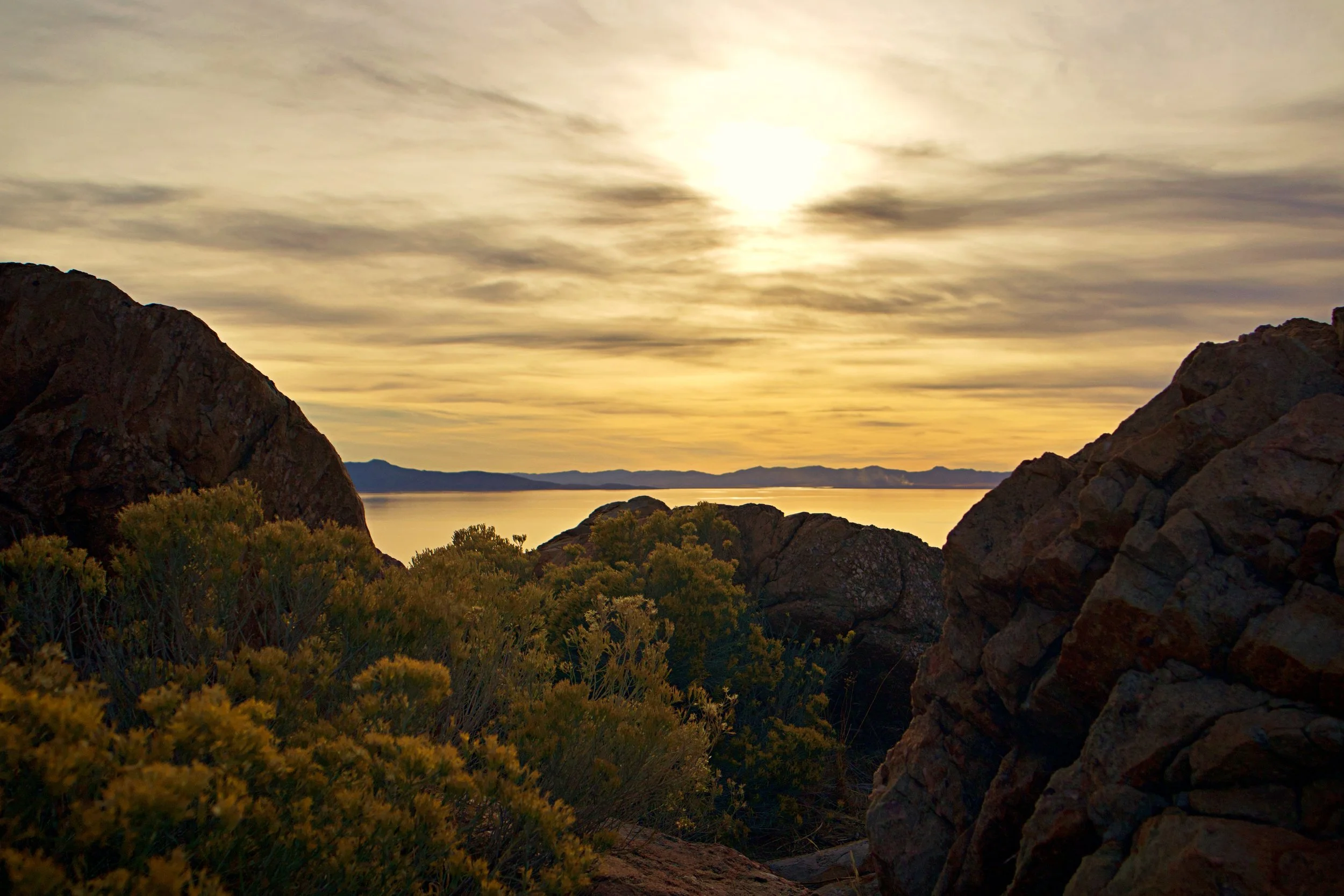 Antelope Island Rocks, Water, Flowers, and Sun Antelope Island.jpg