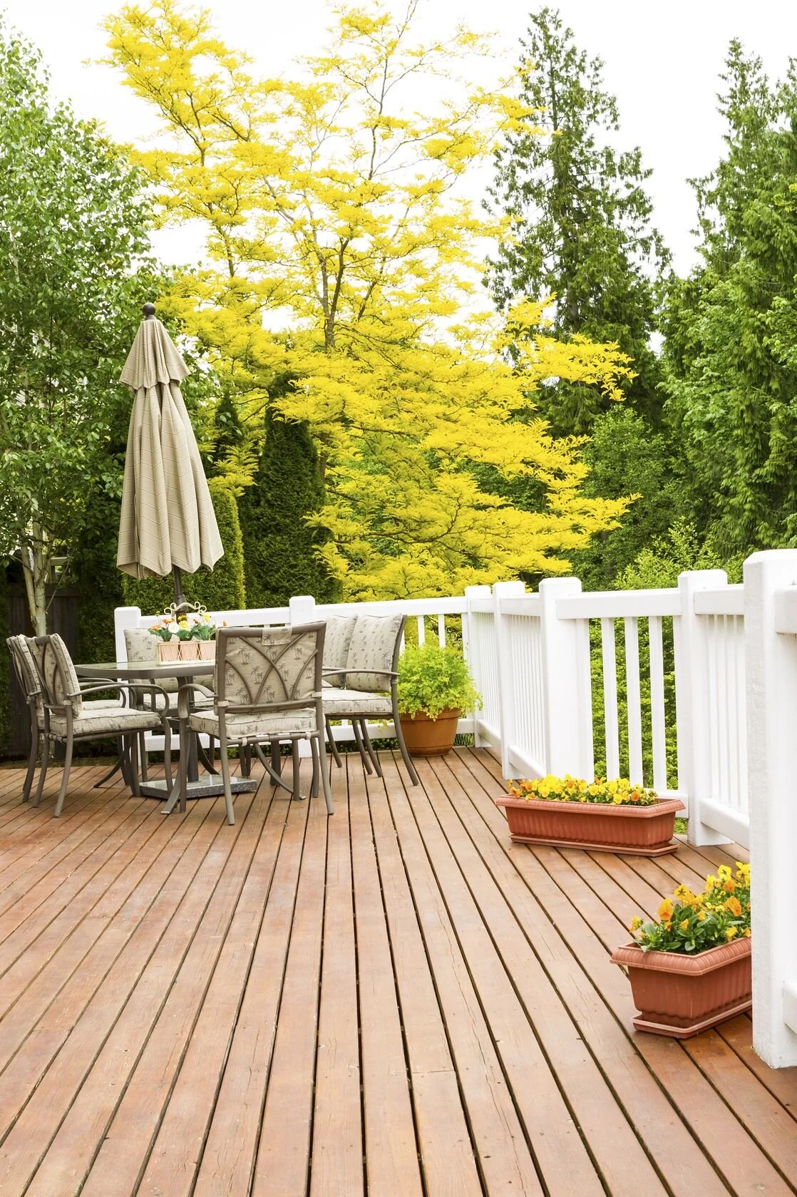 19783368_ml.jpg