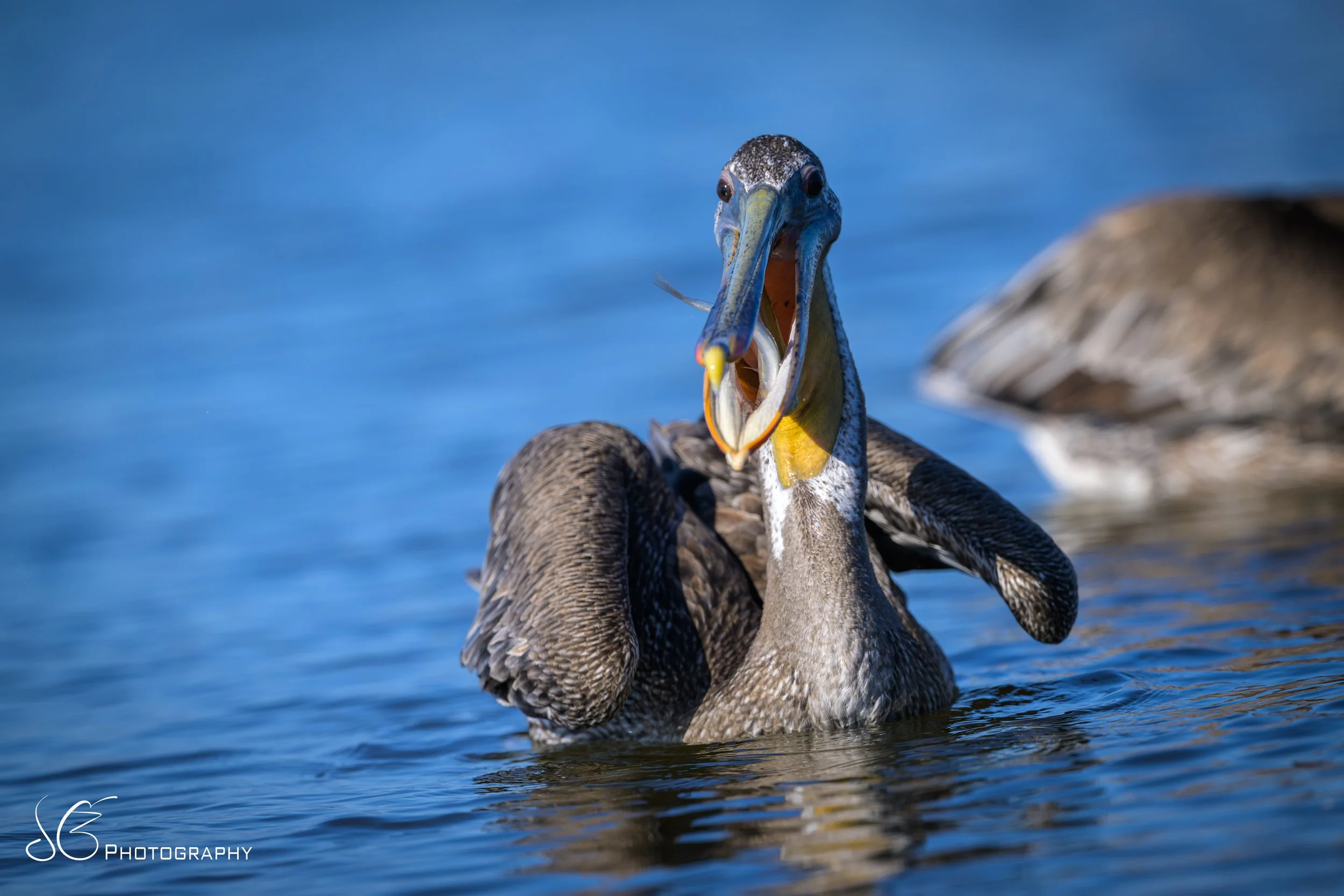 Malibu-Lagoon-2026-11.jpg