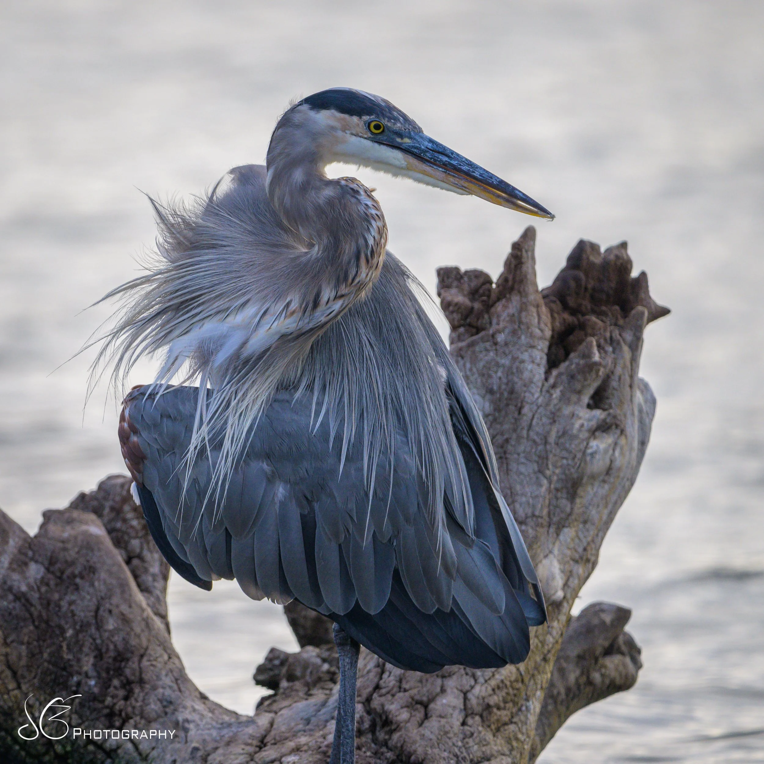 Malibu-Lagoon-2026.jpg