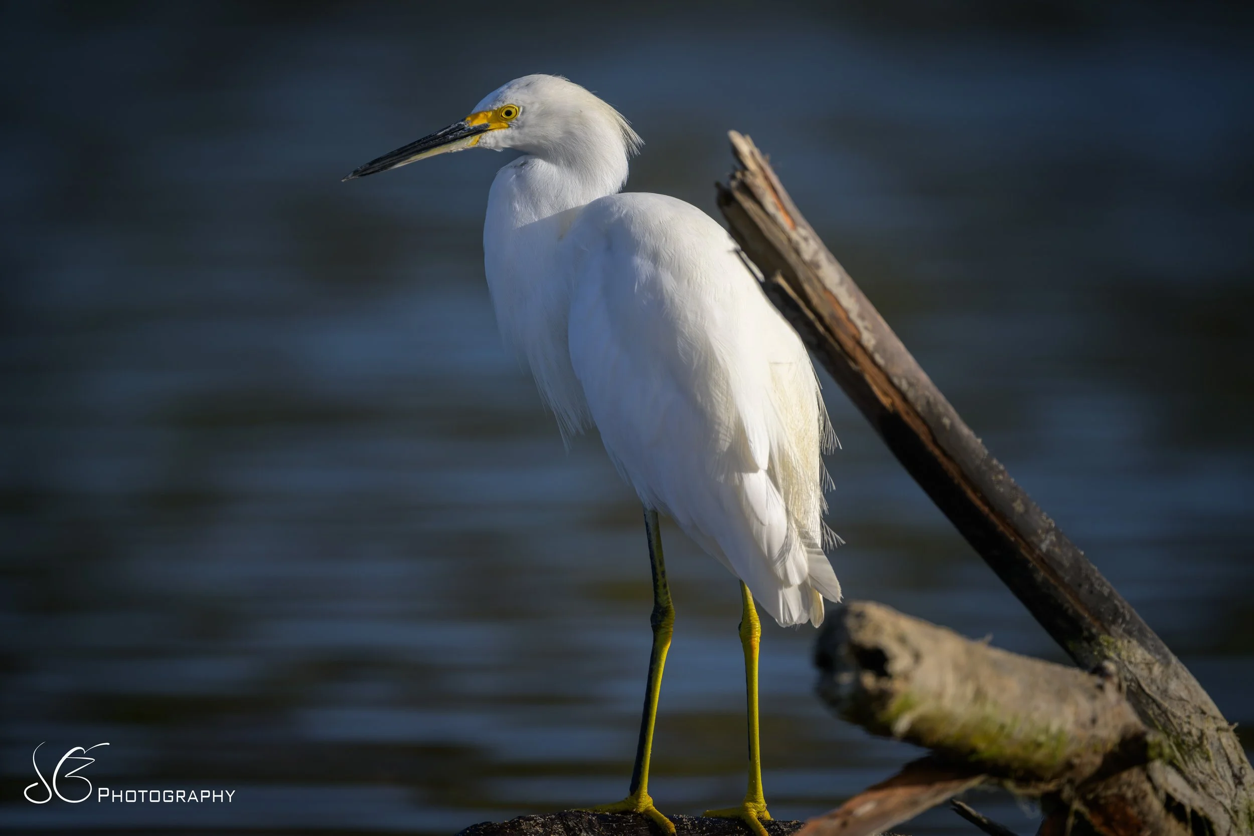 Malibu-Lagoon-2026-3.jpg