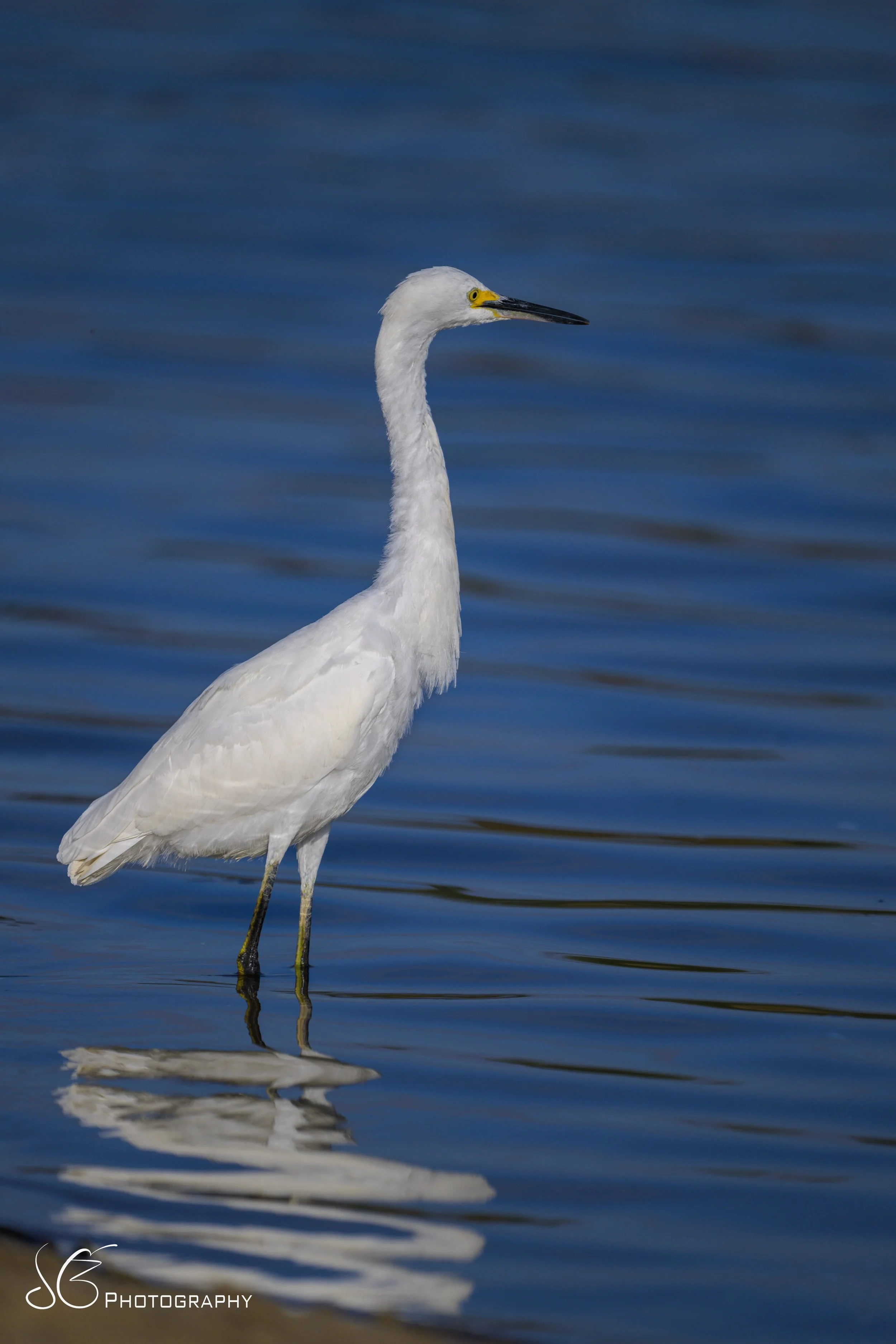 Malibu-Lagoon-2026-2.jpg