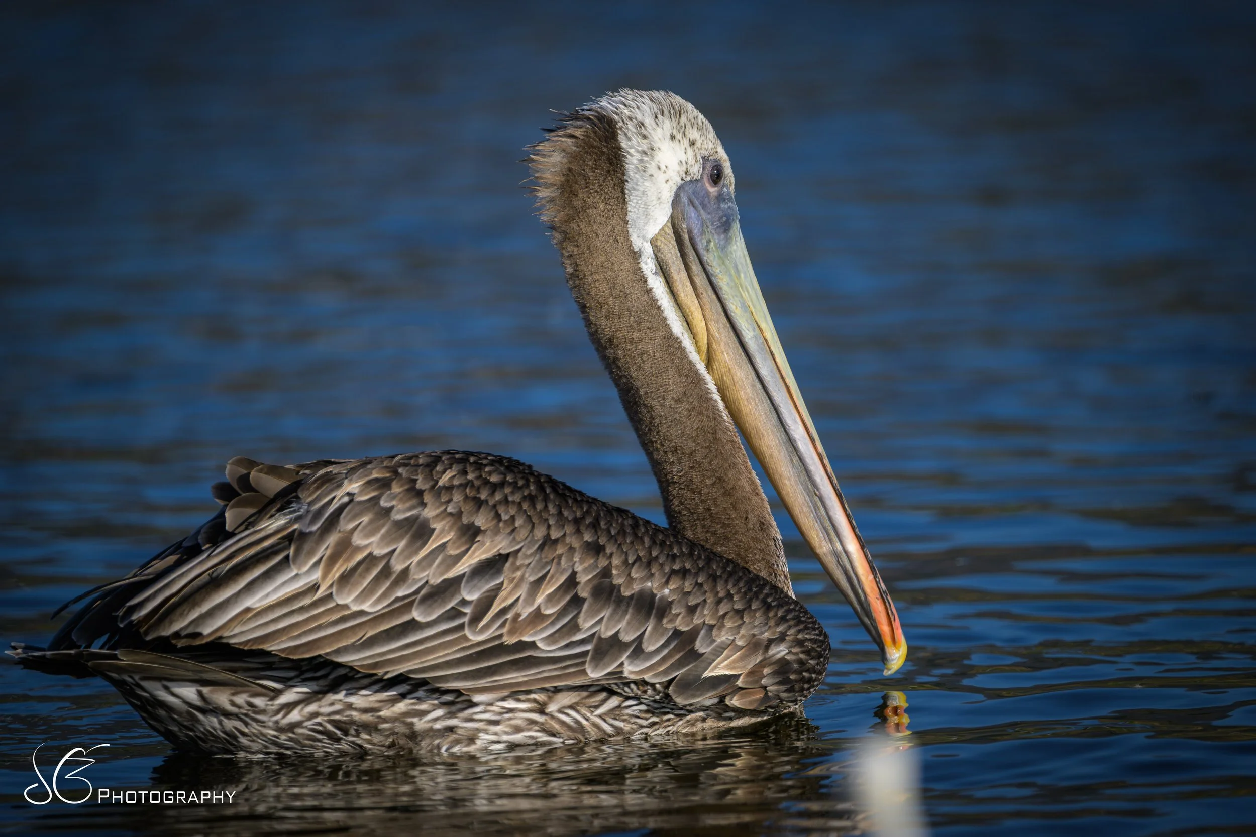 Malibu-Lagoon-2026-5.jpg