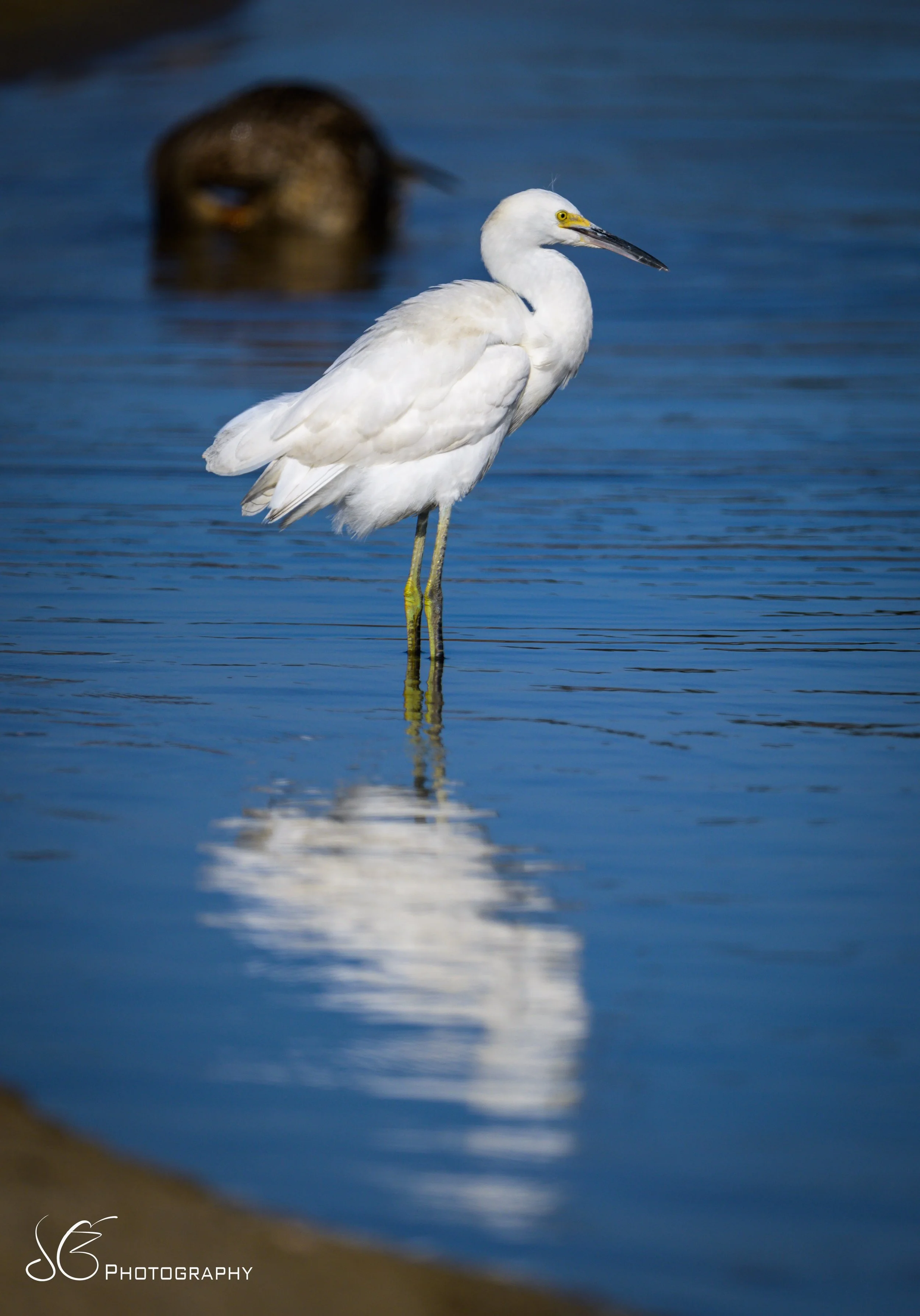 Malibu-Lagoon-2026-7.jpg