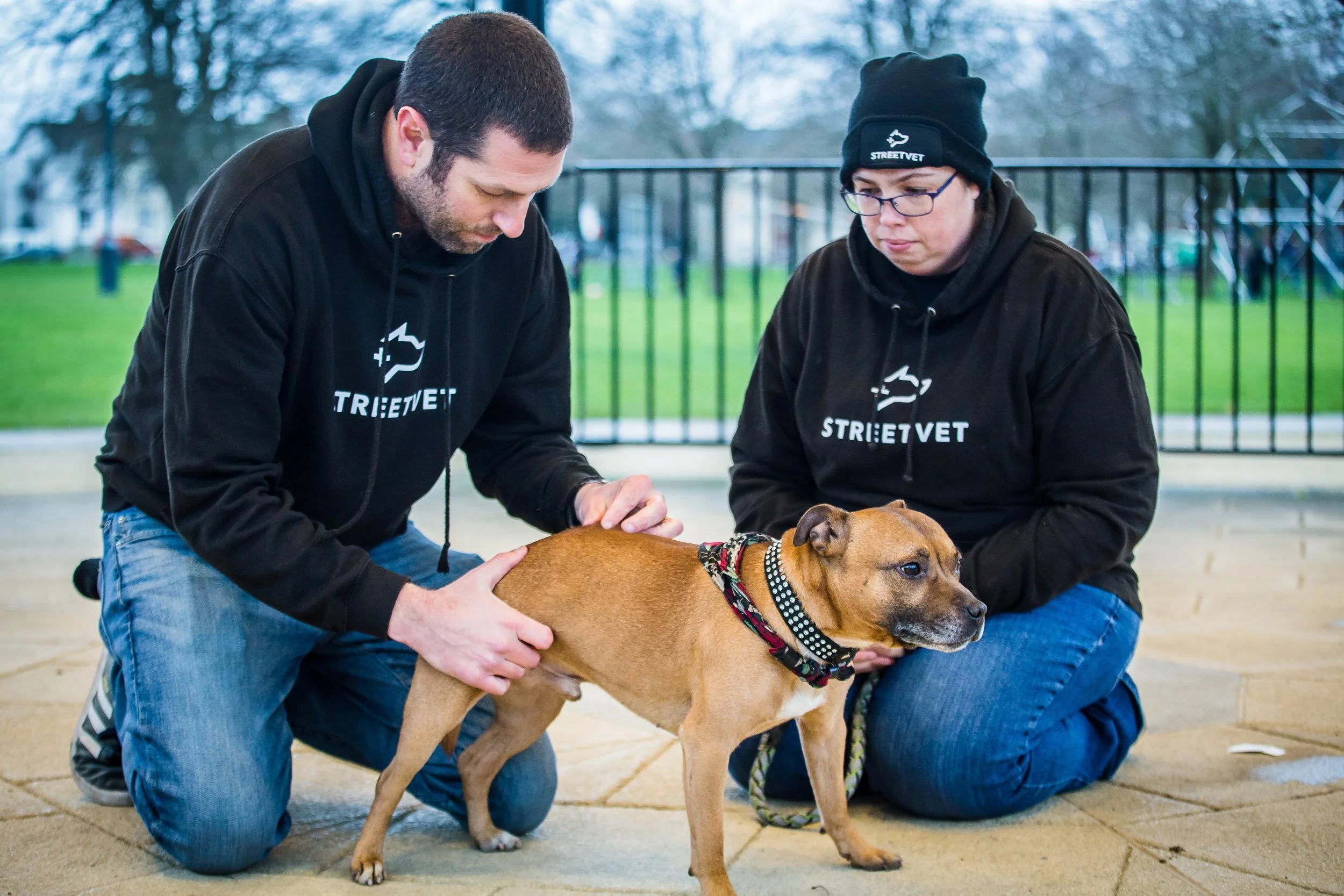 StreetVet