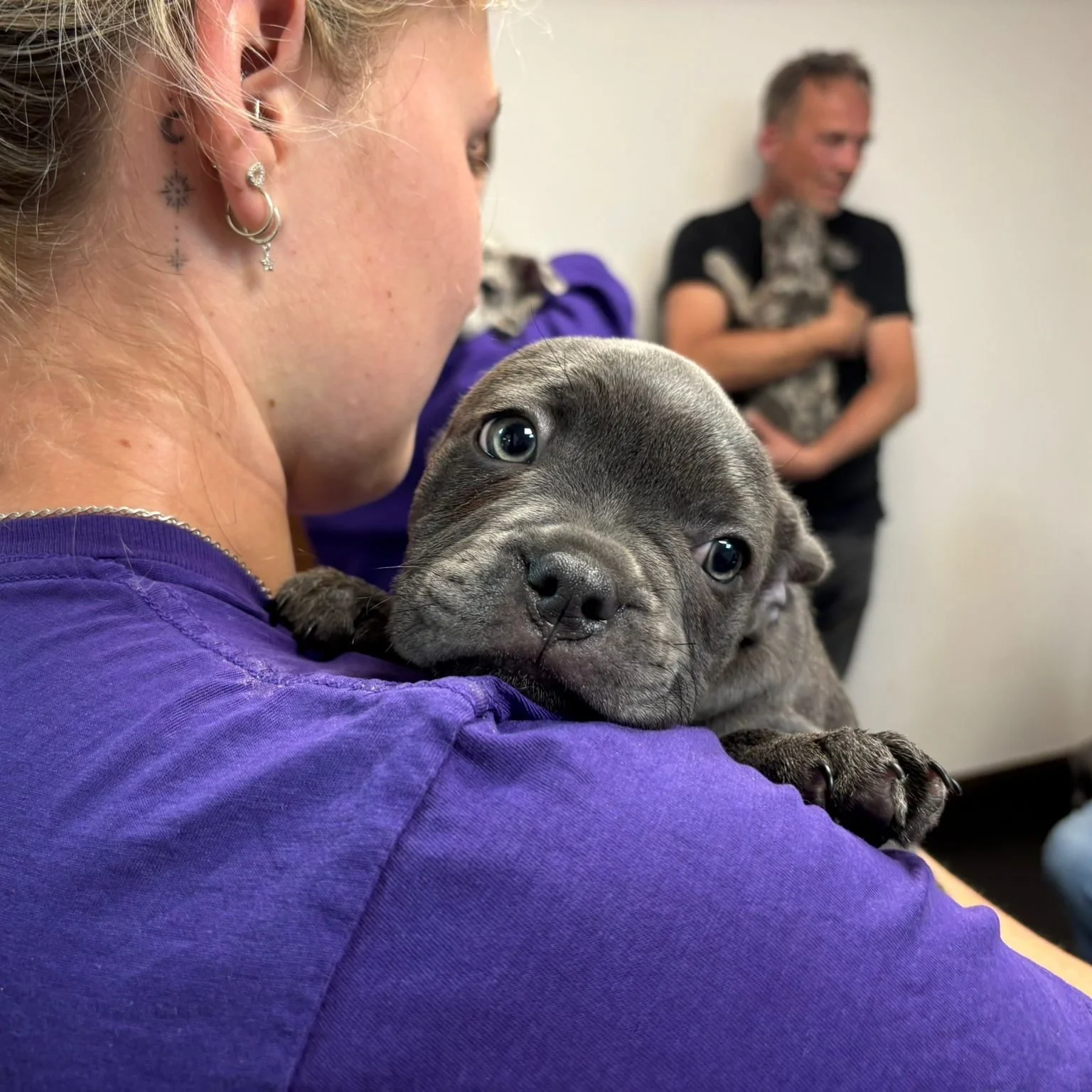 Pawprints Dog Rescue