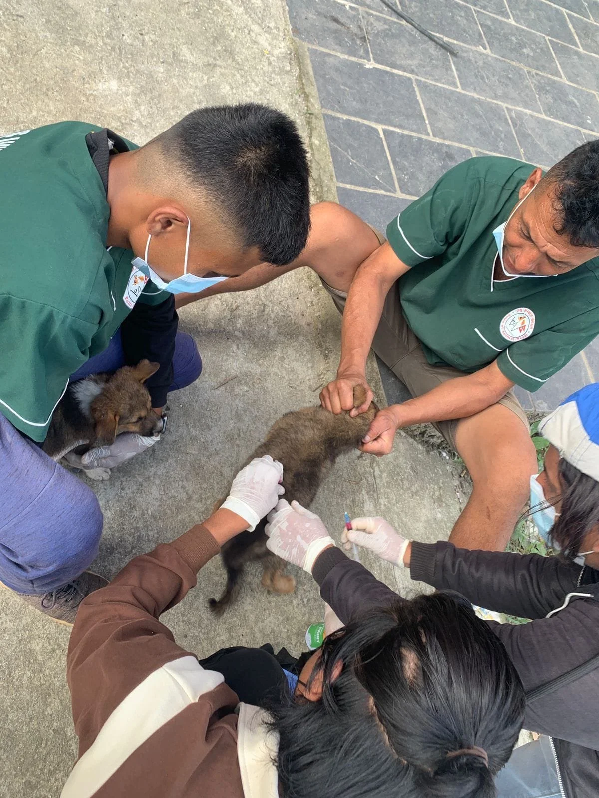 Voice of Animals Nepal