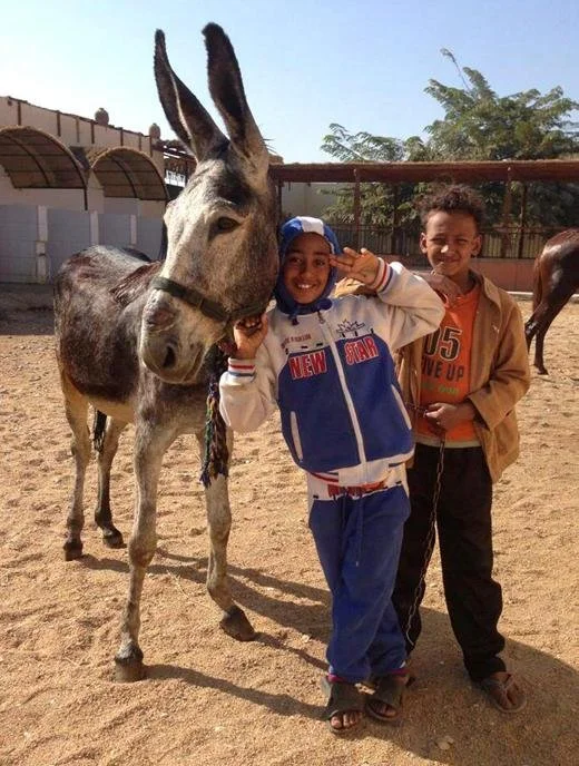 Animal Care in Egypt