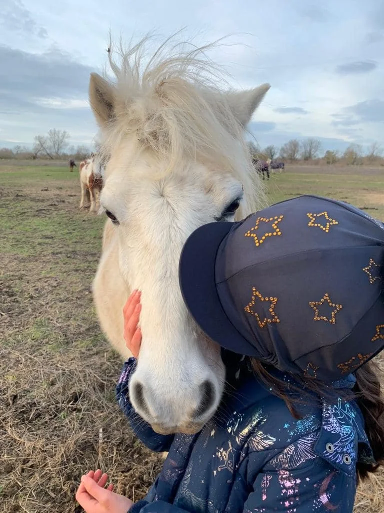 Blue Acre Horse Rescue