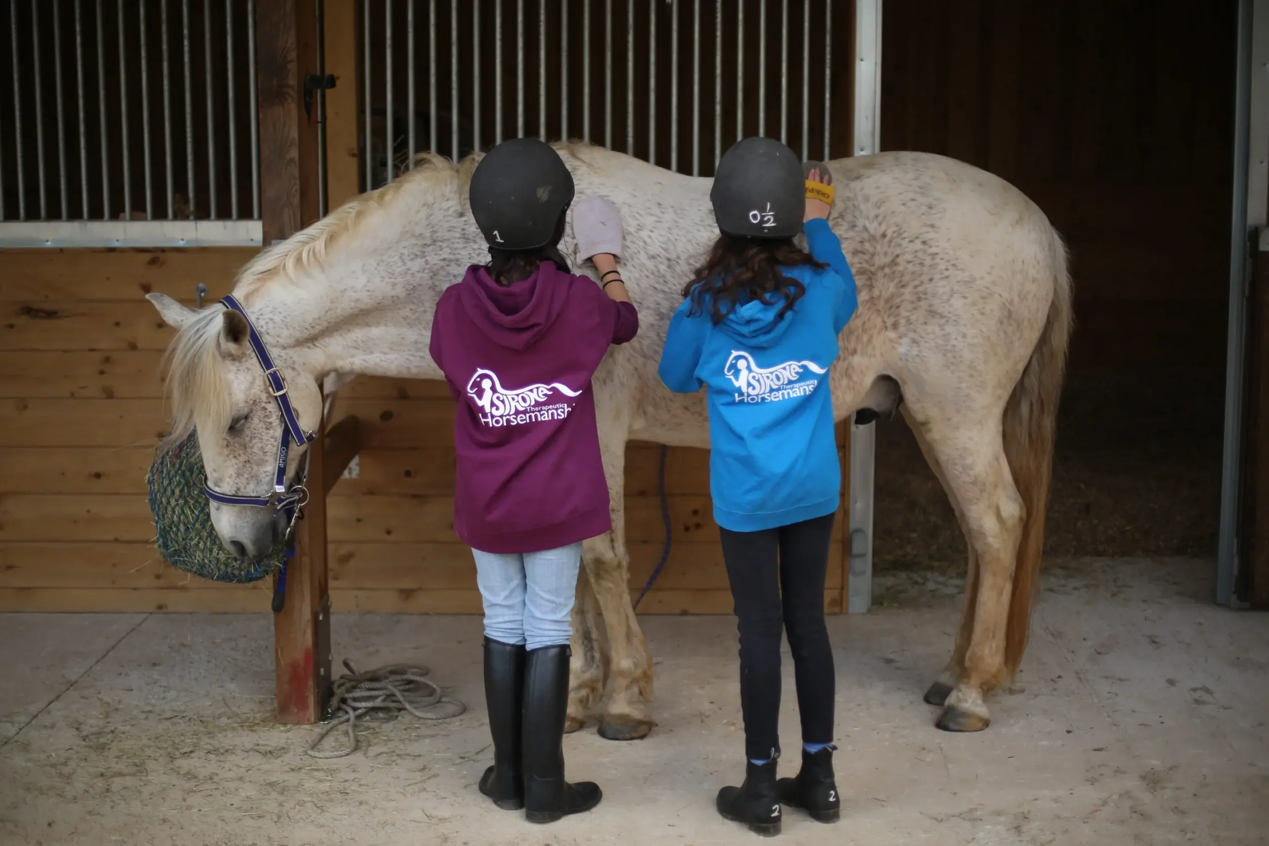 Sirona Therapeutic Horsemanship